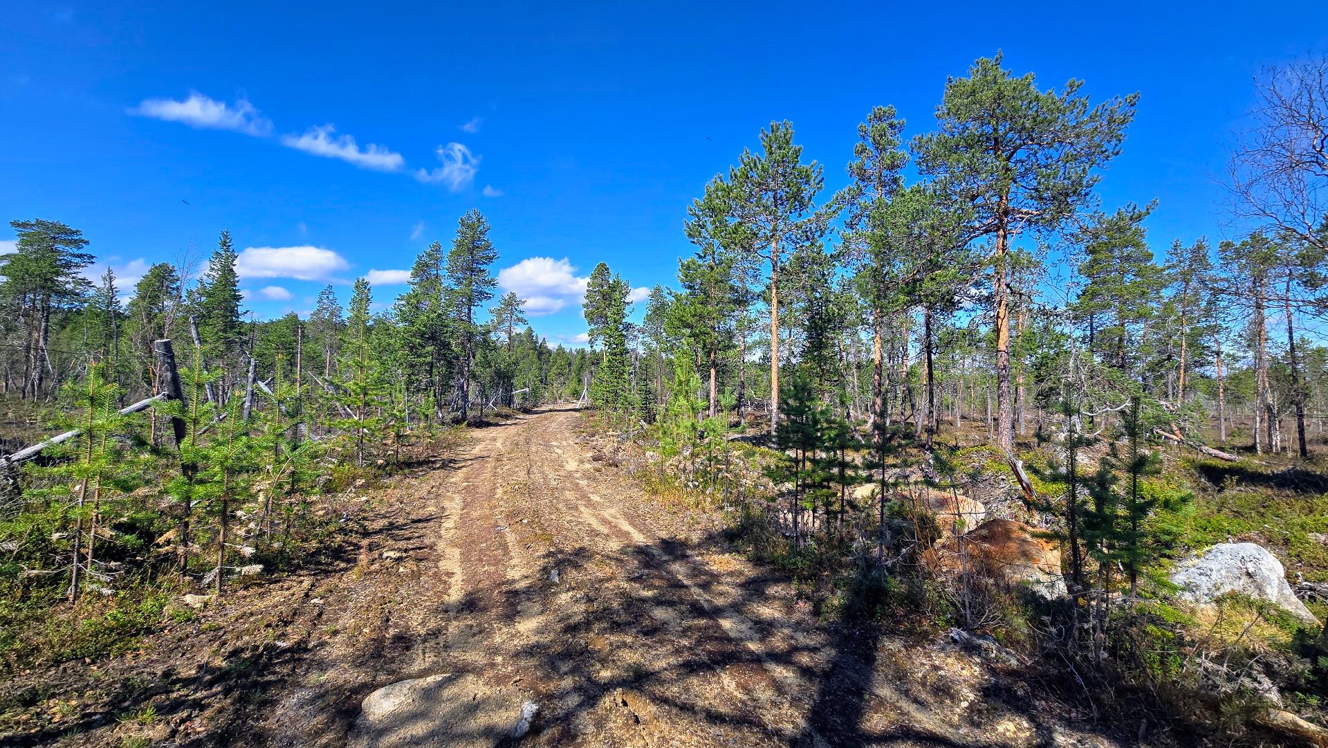 Länsilaidalla naapurikiinteistölle johtava tie, joka on osittain myytävän määräalan alueella.