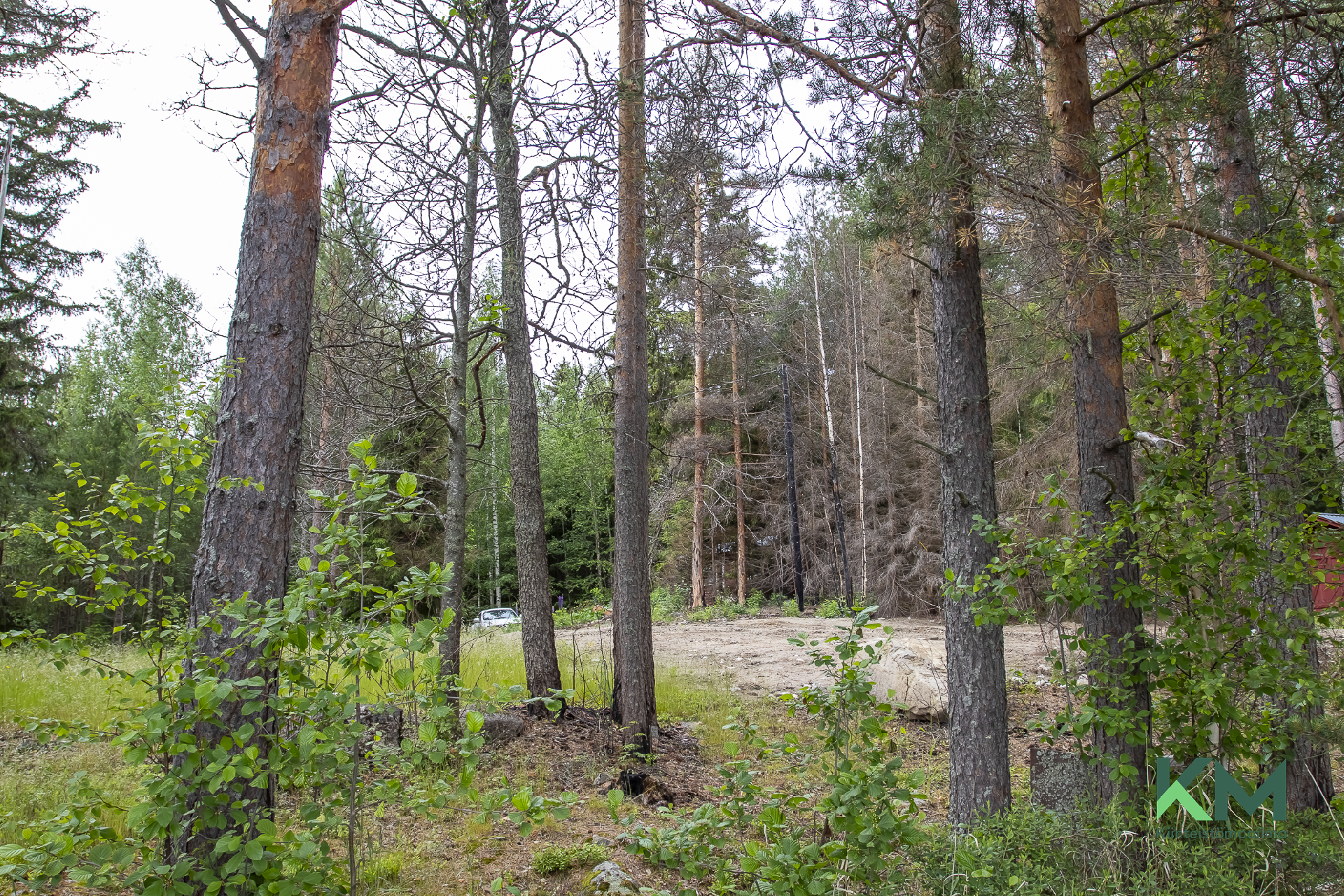 Antinniementie 52, Savonlinna