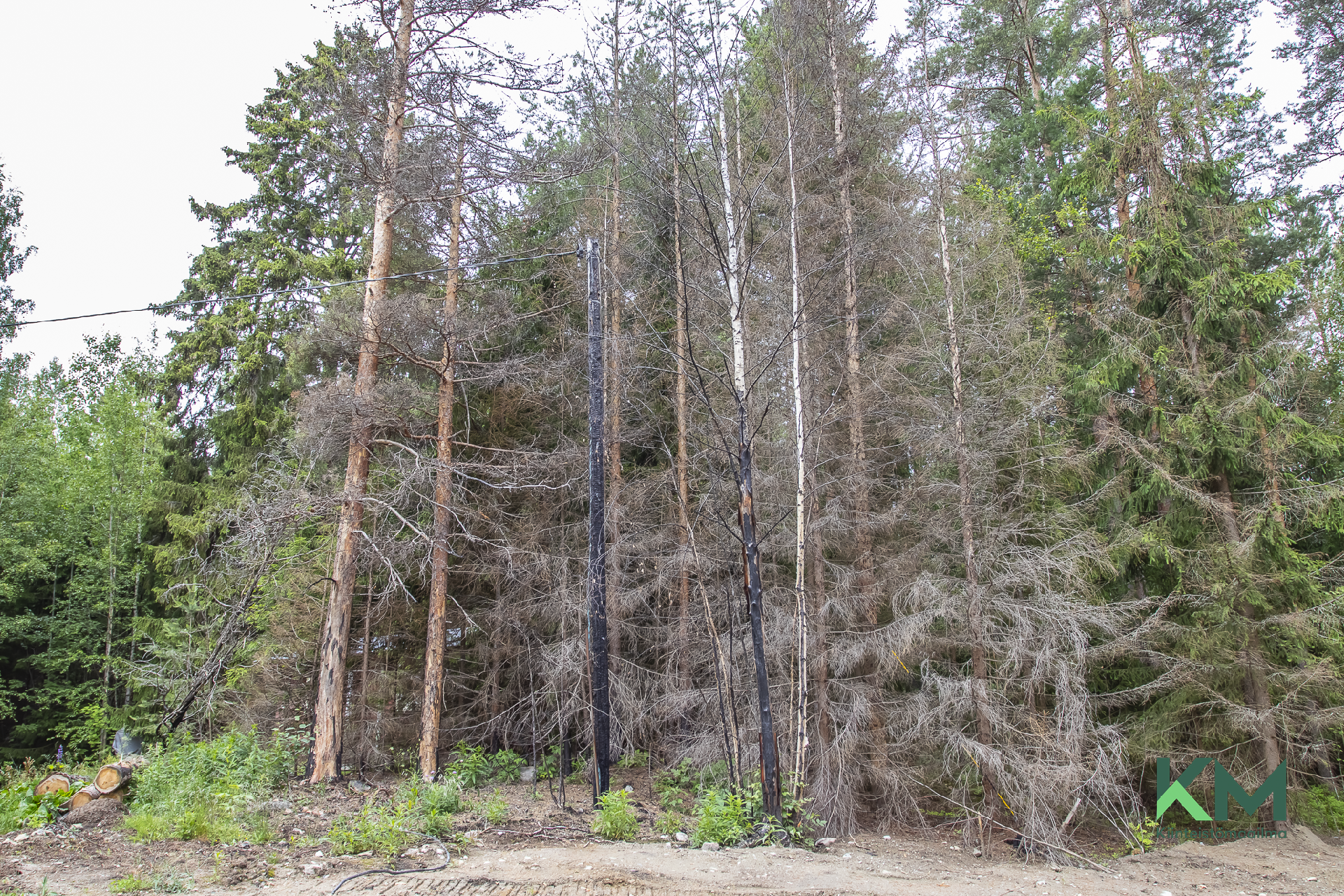 Antinniementie 52, Savonlinna