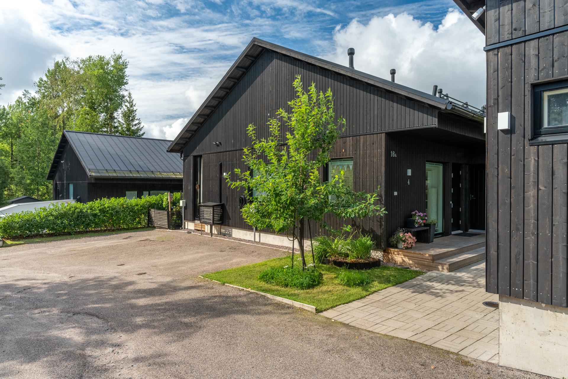 Muuttolinnunreitti 16, Lintuvaara, Espoo