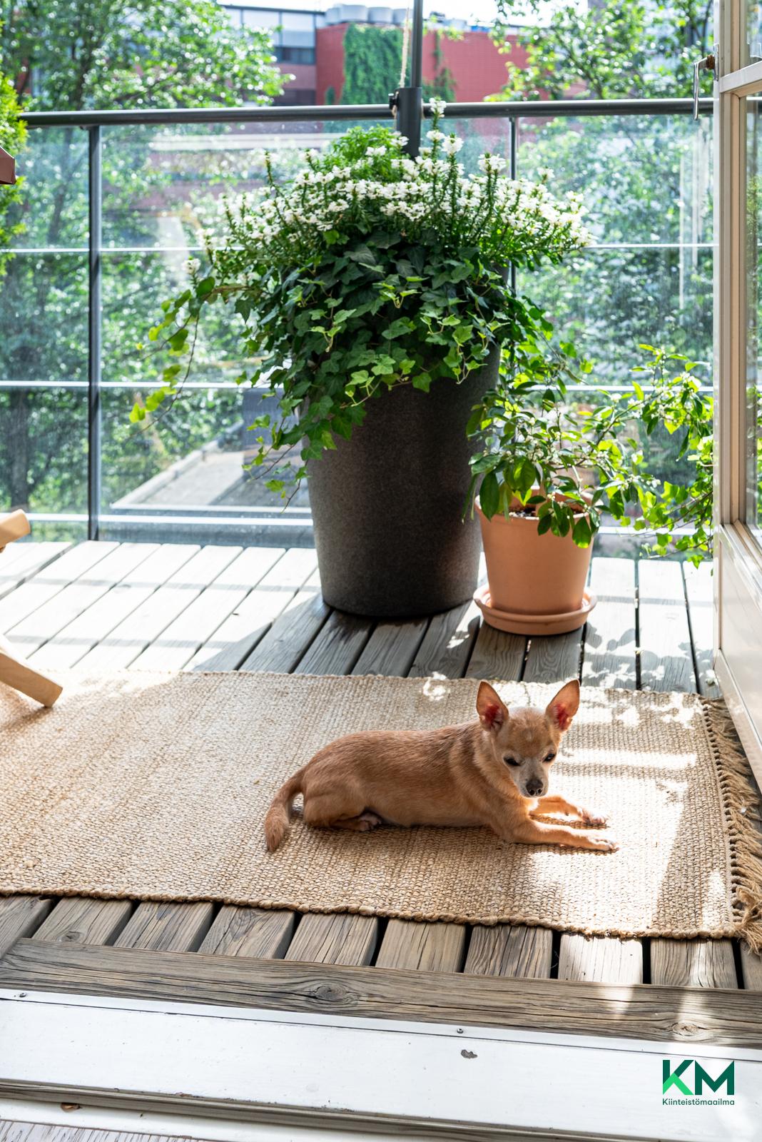 Käenkuja 3b, Sörnäinen, Helsinki