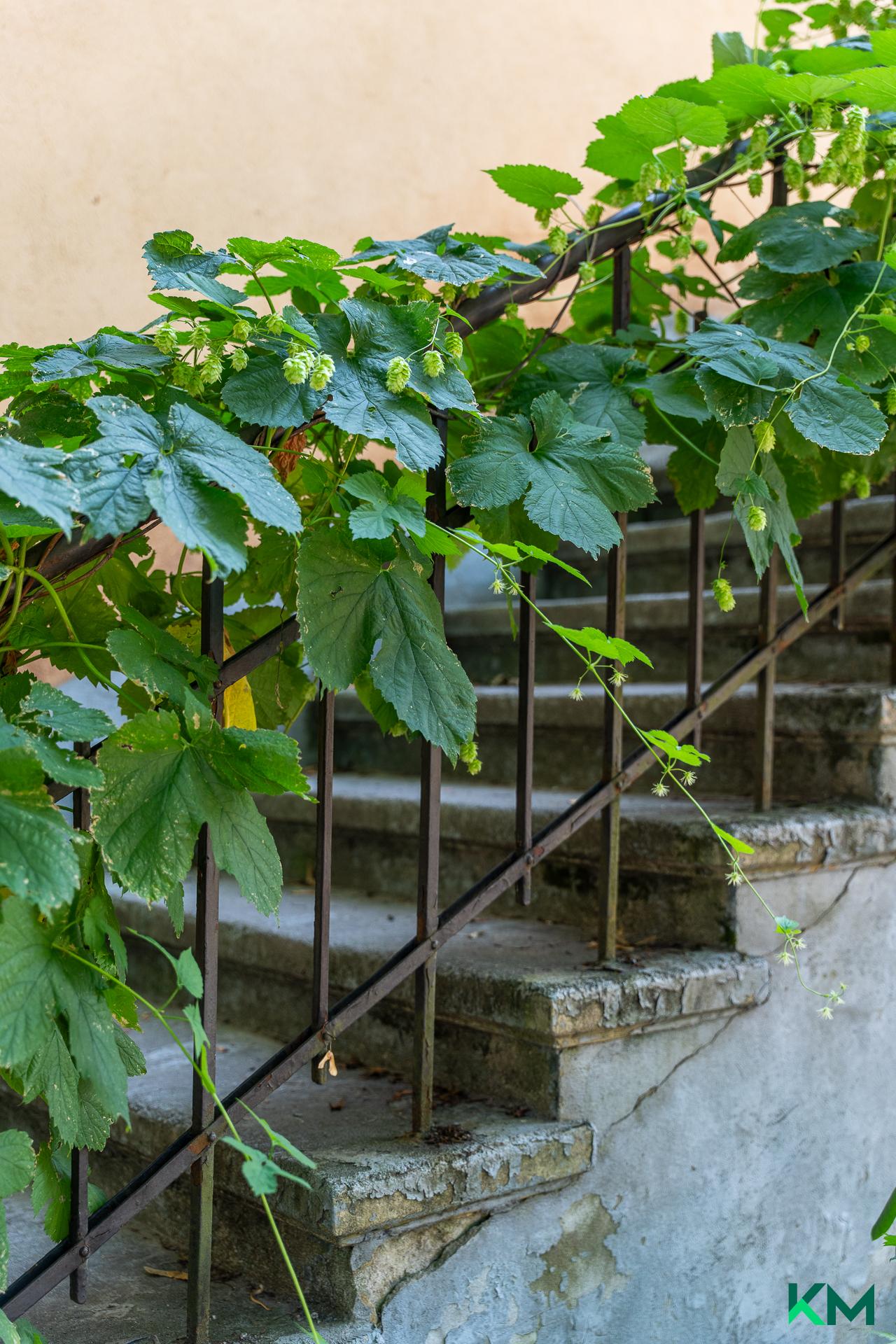 Päijänteentie 39-41, Vallila, Helsinki