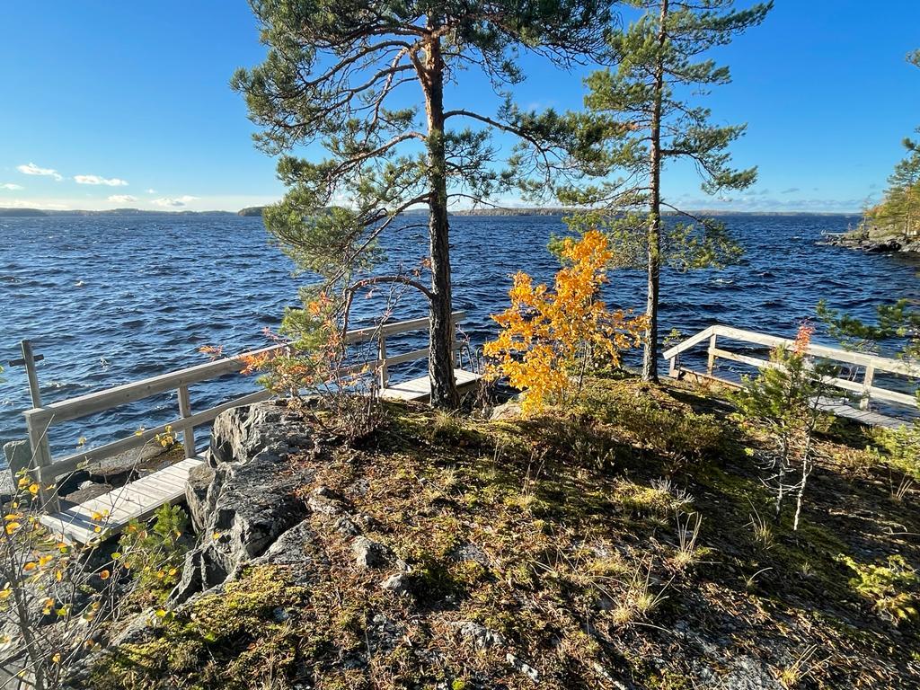 Paavolantie 545, Kämmenniemi, Tampere