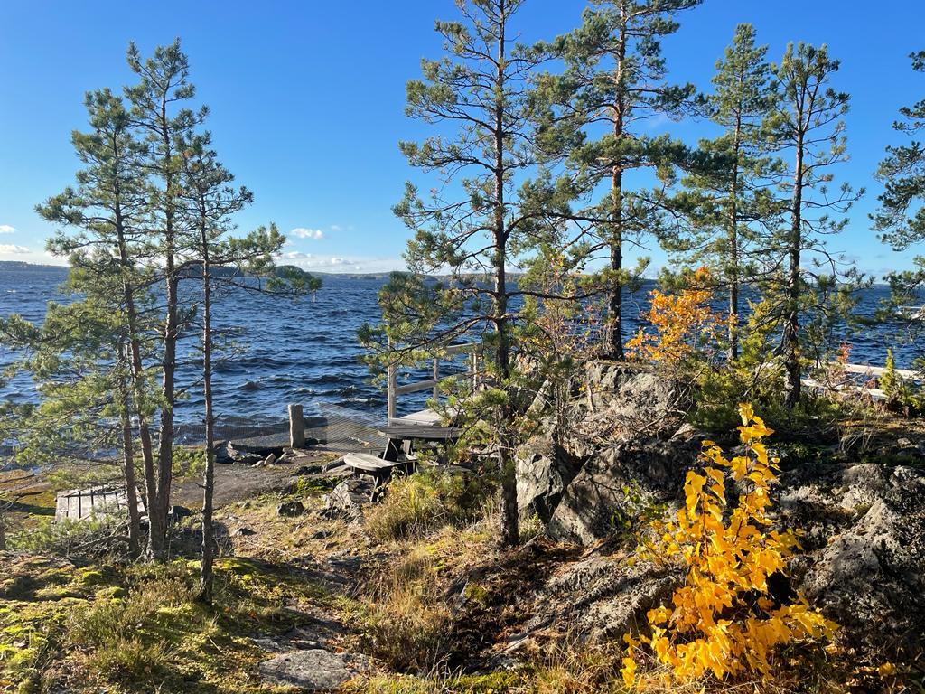 Paavolantie 545, Kämmenniemi, Tampere