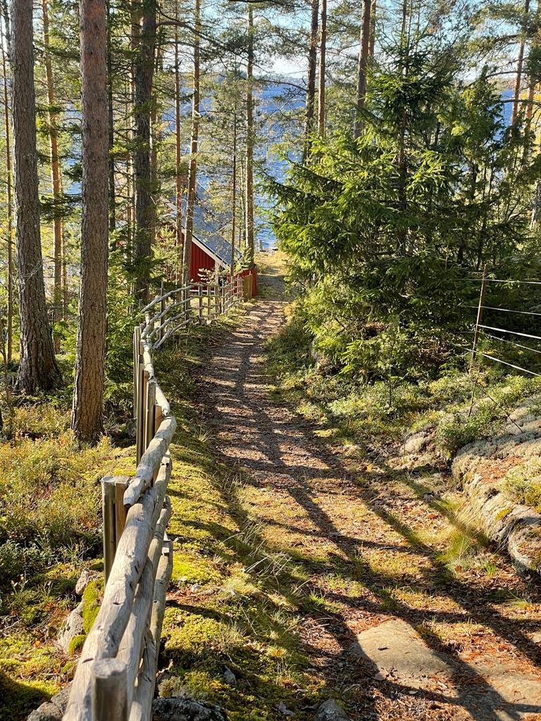 Paavolantie 545, Kämmenniemi, Tampere