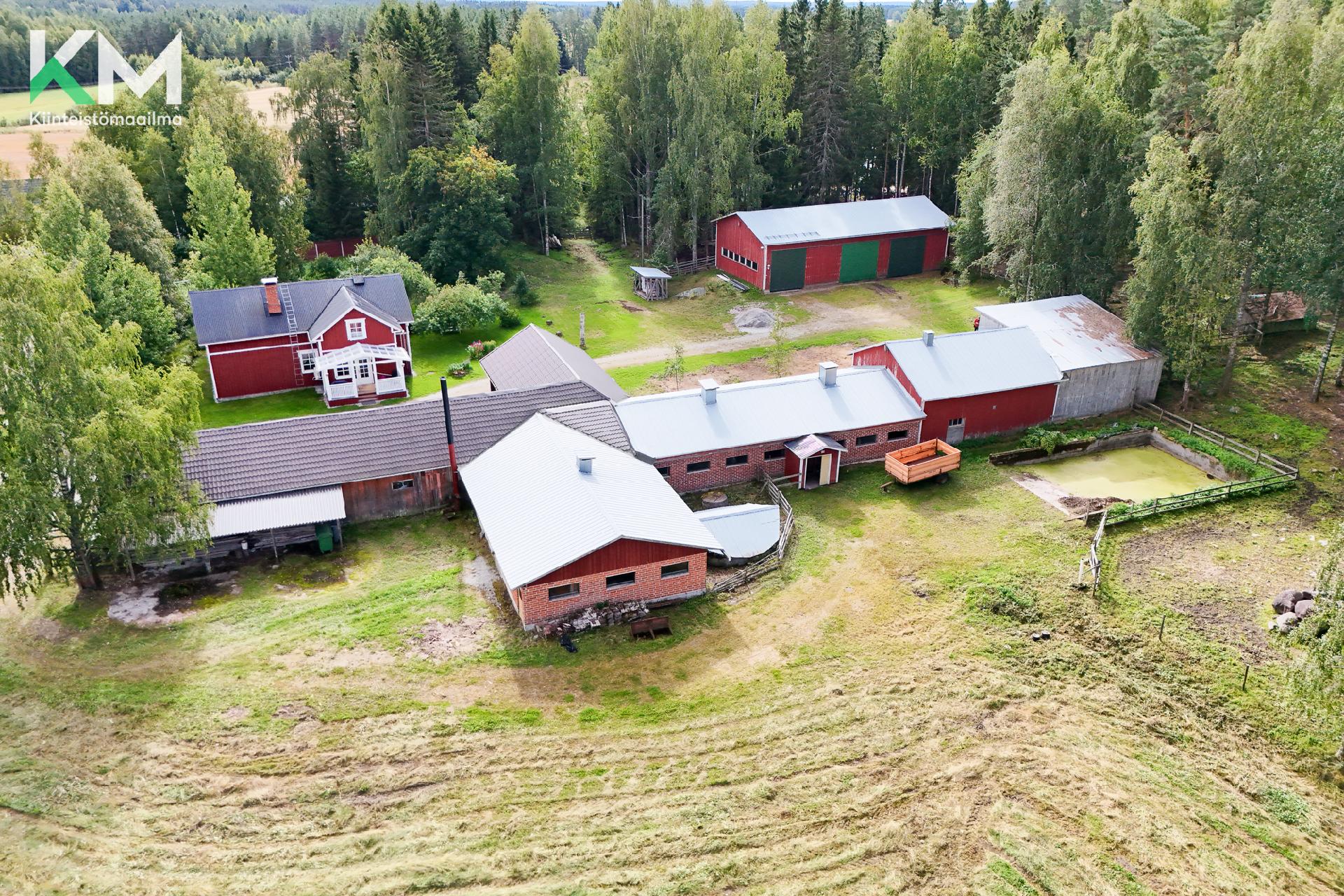 Isokorventie 47, Kurikka