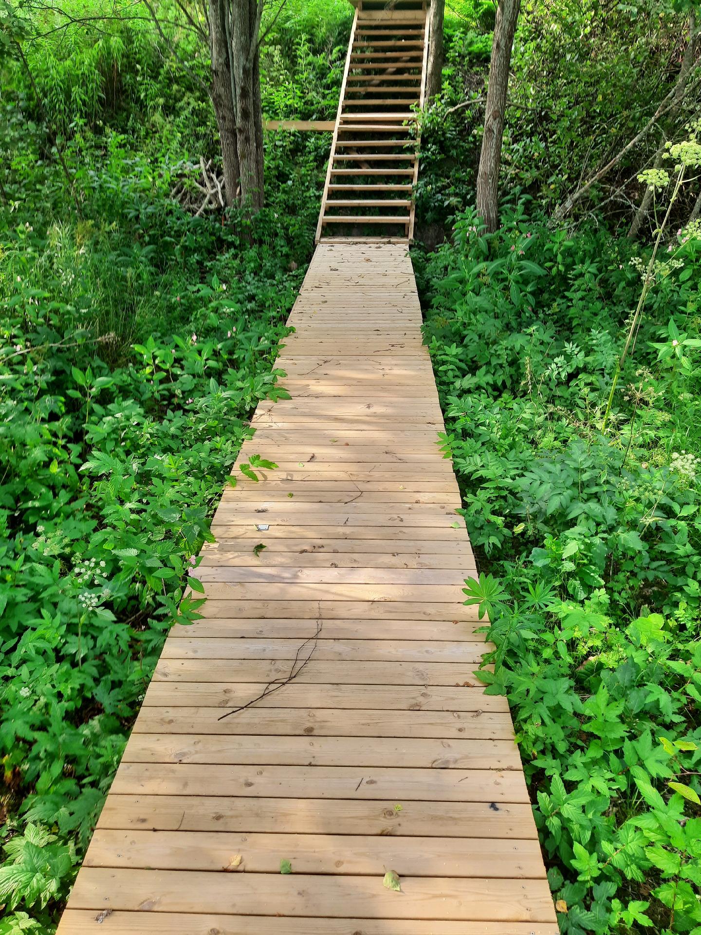 Jäkälämäki 25, Millola, Lohja