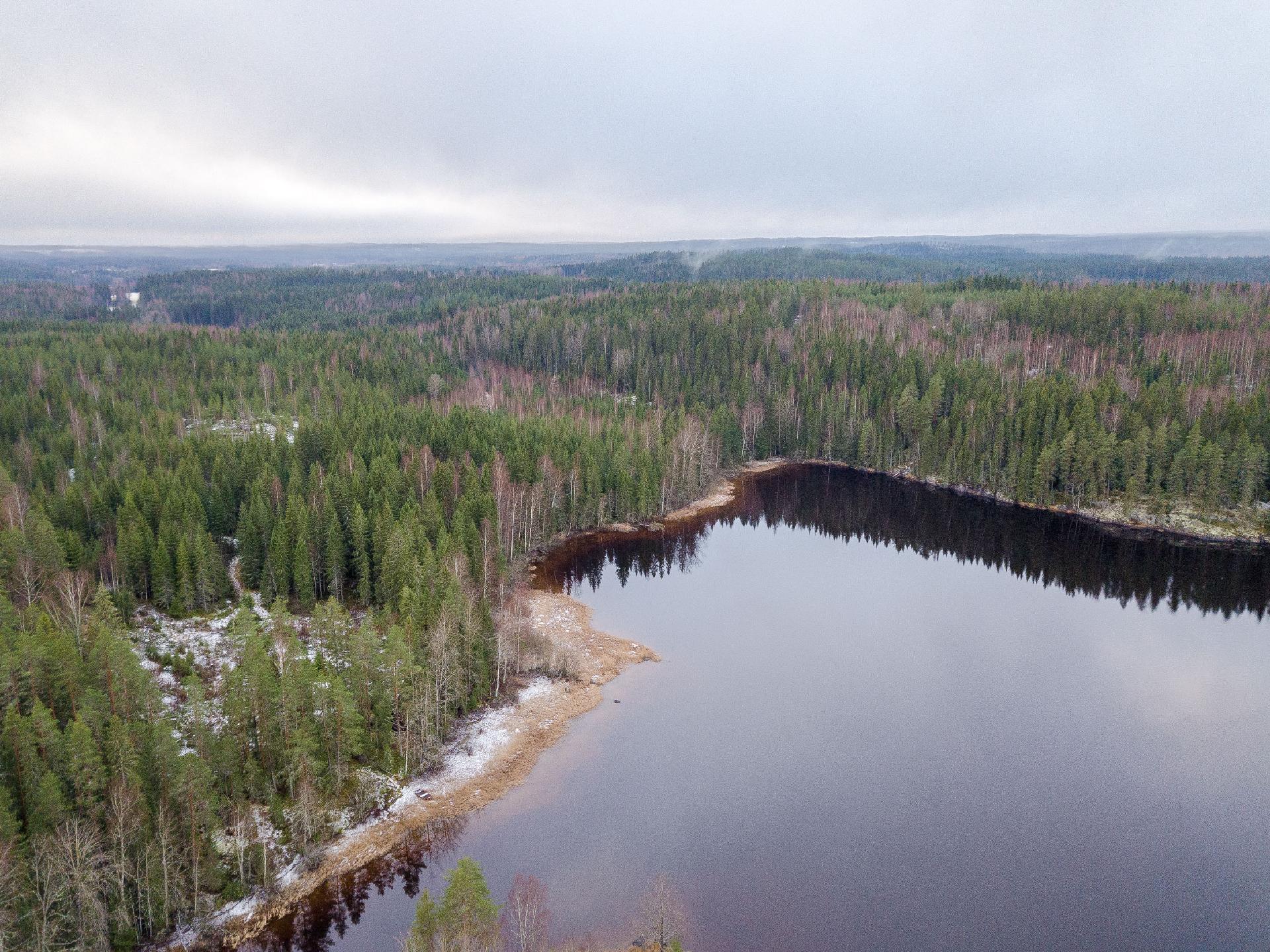 Näntöntie 35, Vaskivesi, Virrat