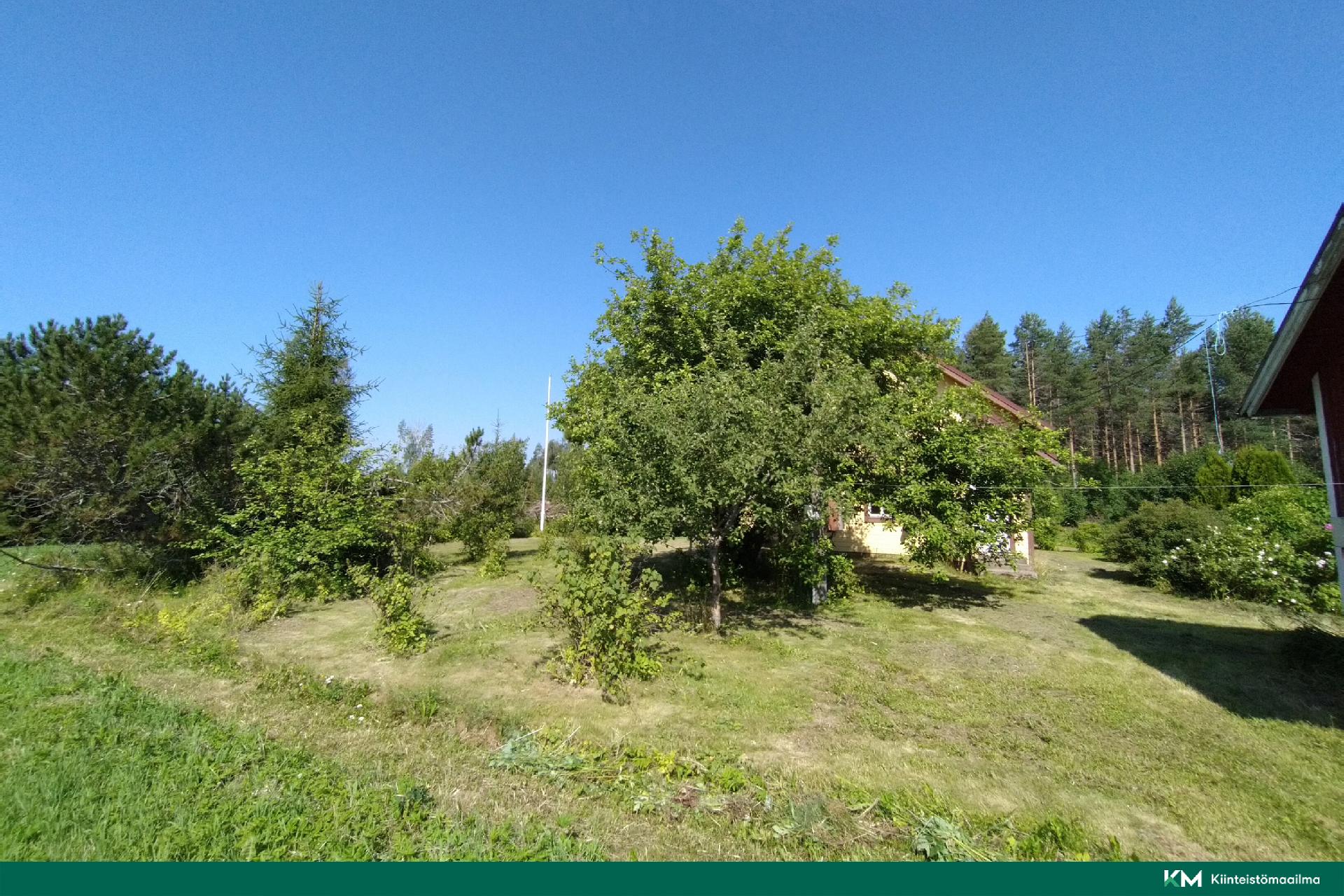 Saarikaukosentie 6, Mikkeli, Mikkeli