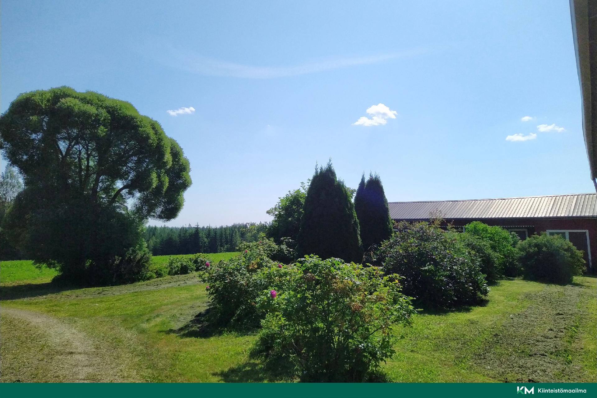 Saarikaukosentie 6, Mikkeli, Mikkeli