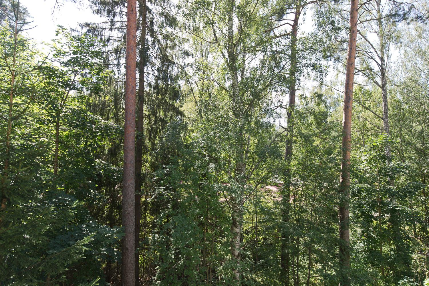 Kalkun Viertotie 5, Kalkku, Tampere