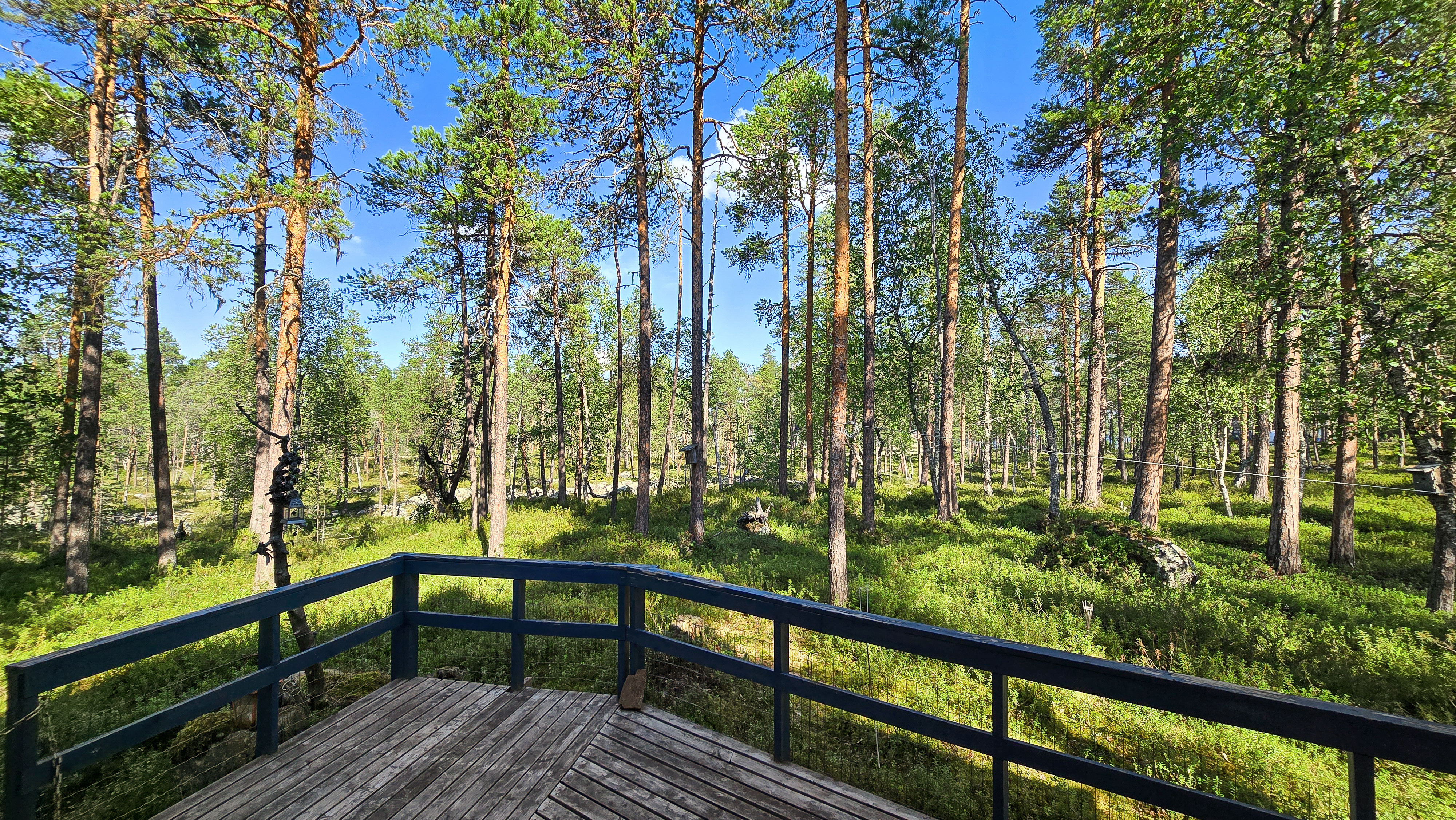 Terassia ja näkymiä luontoon