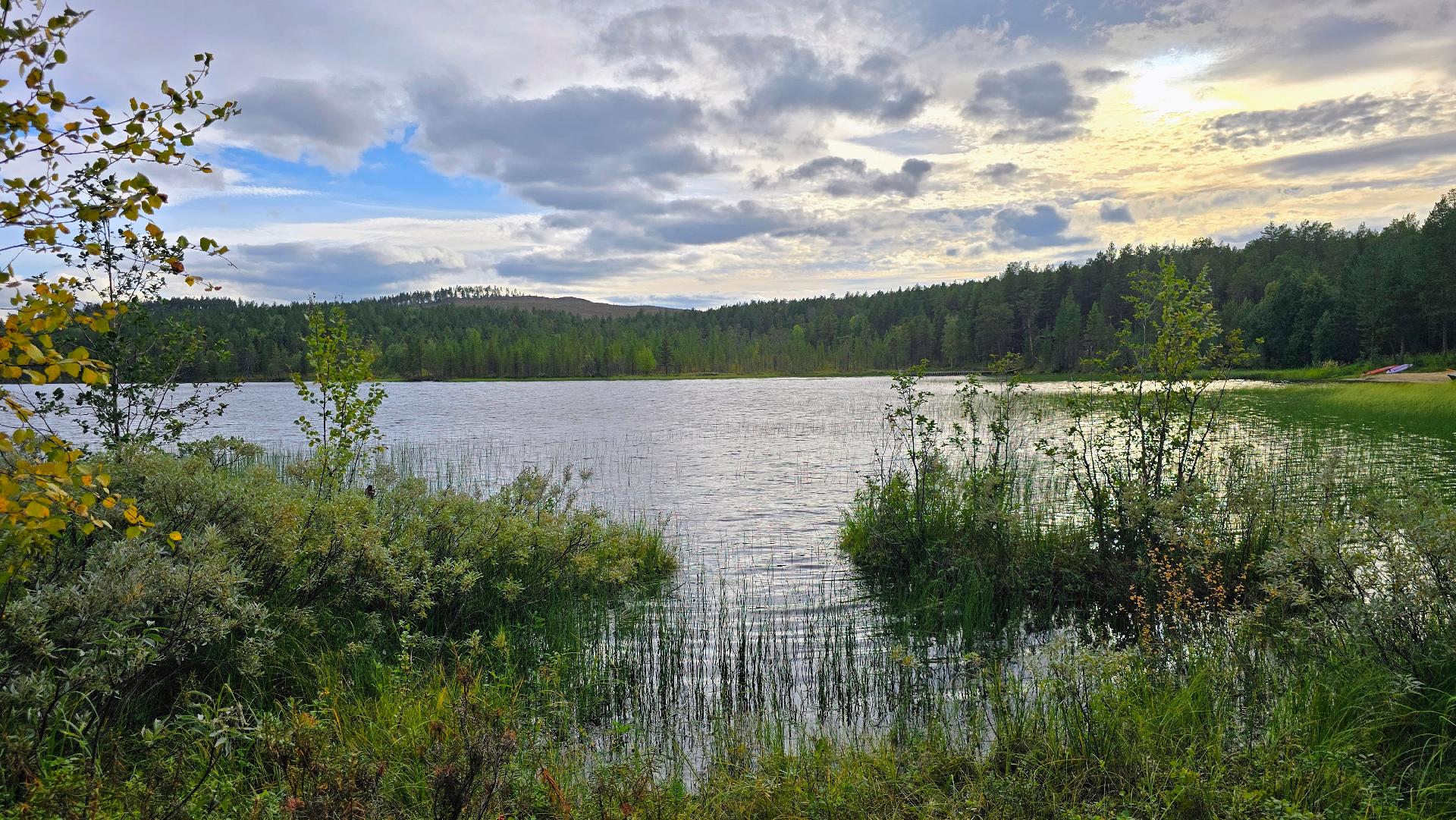 Alajärven ranta