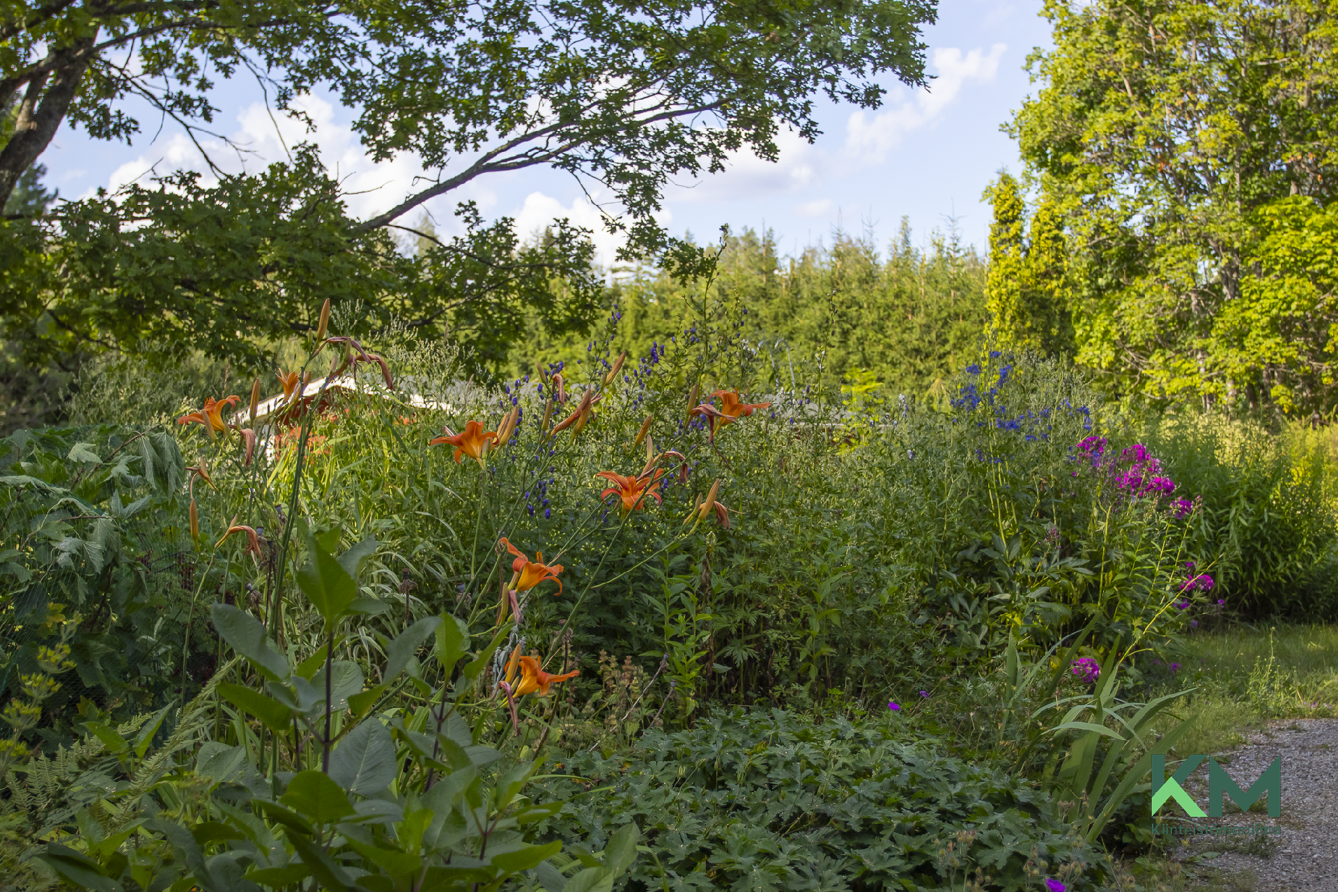 Rekitie 11, Punkaharju, Savonlinna