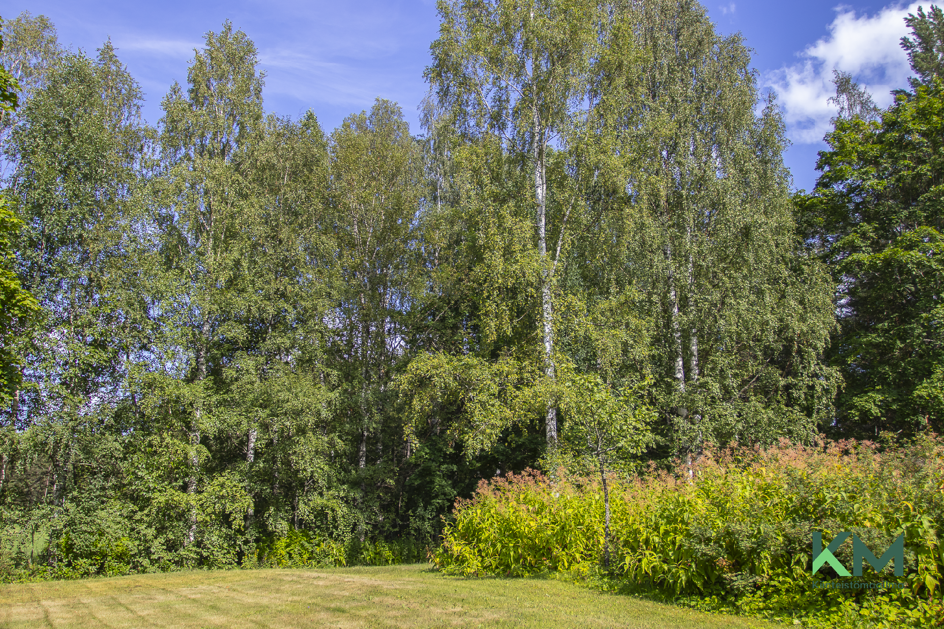 Rekitie 11, Punkaharju, Savonlinna