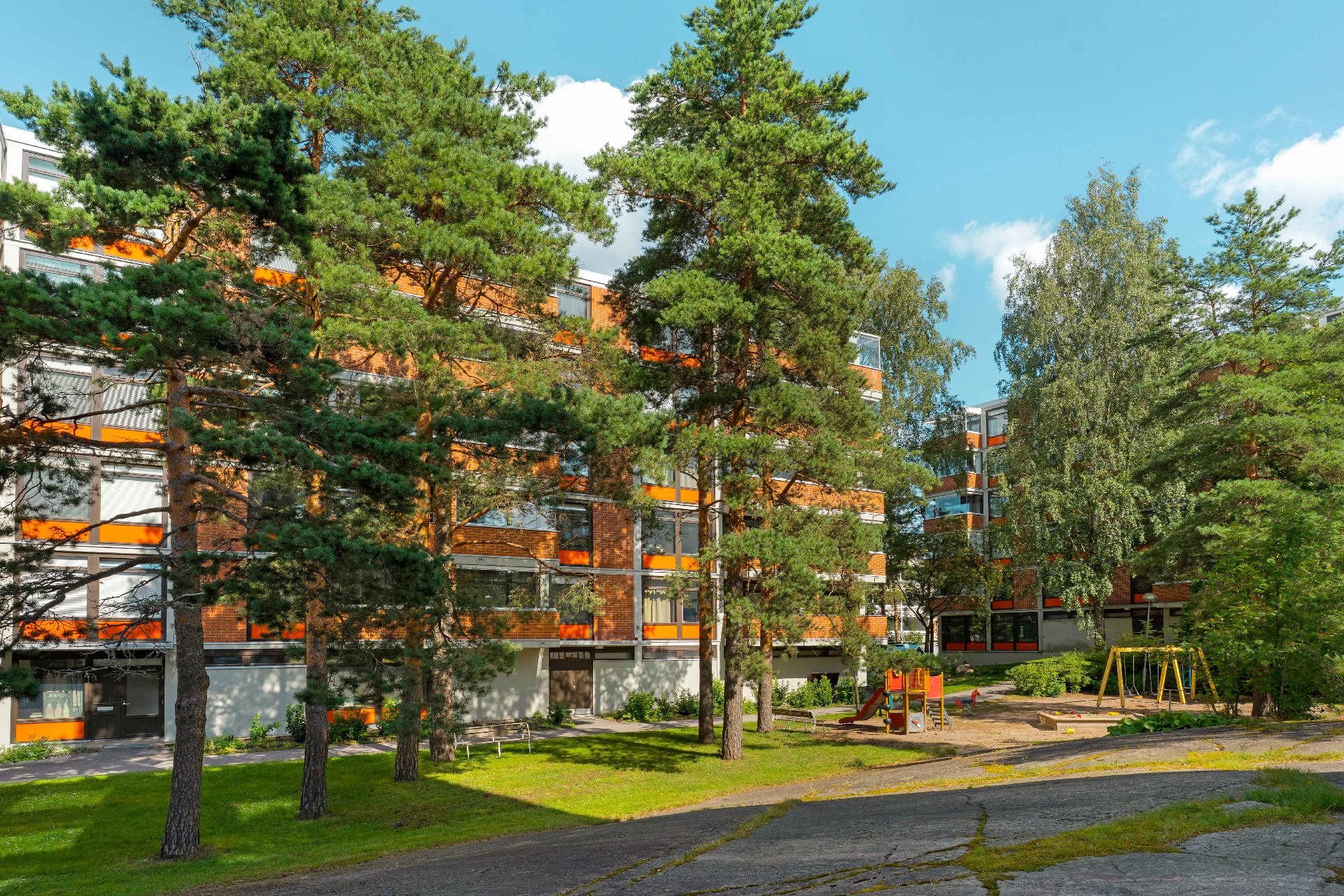 Männyt reunustavat taloa.