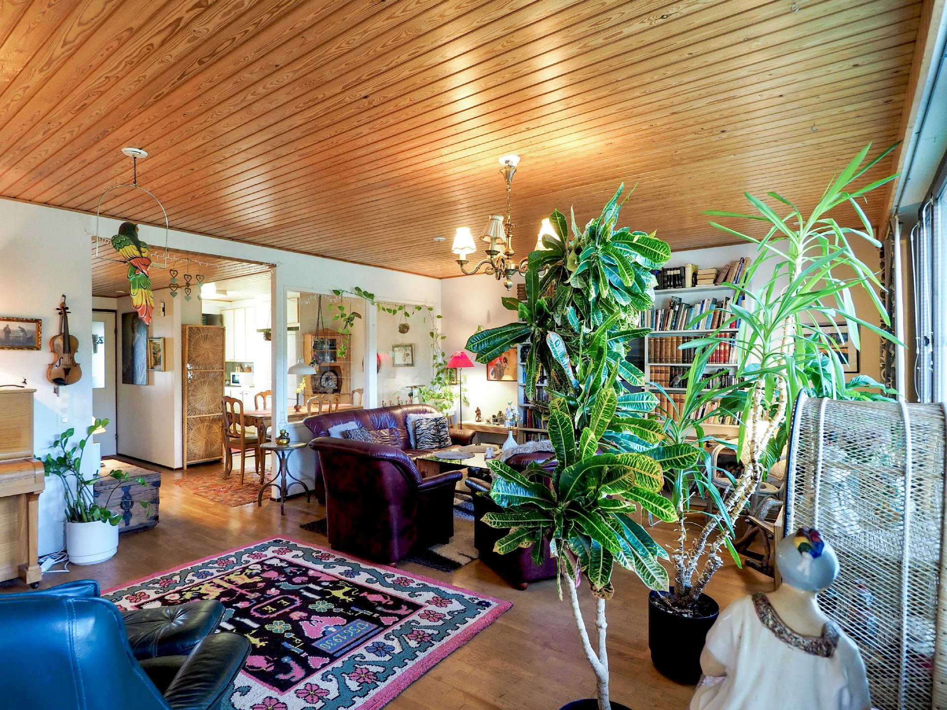 Viisarintie 38, Viisari, Hämeenlinna