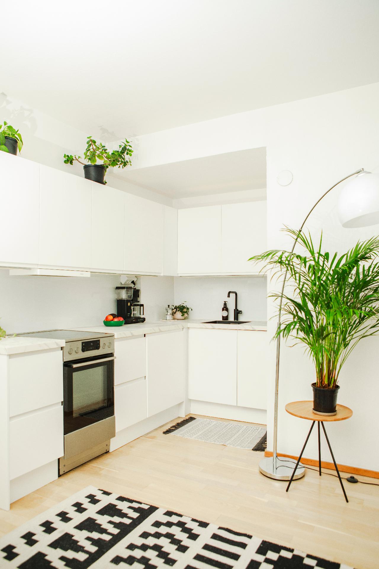 Castréninkatu 8, Kallio, Helsinki