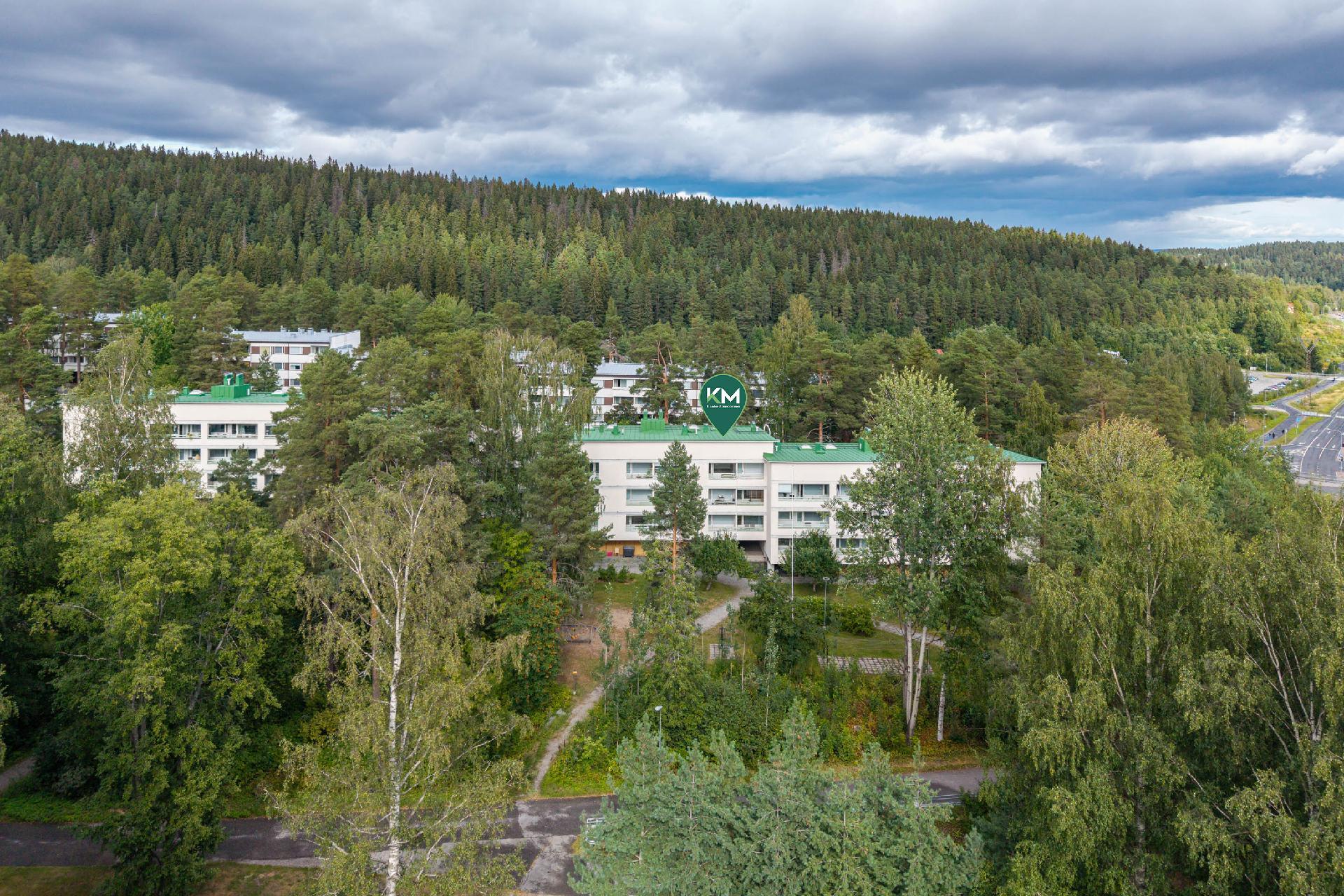 Hiihtäjäntie 15, Puijonlaakso, Kuopio