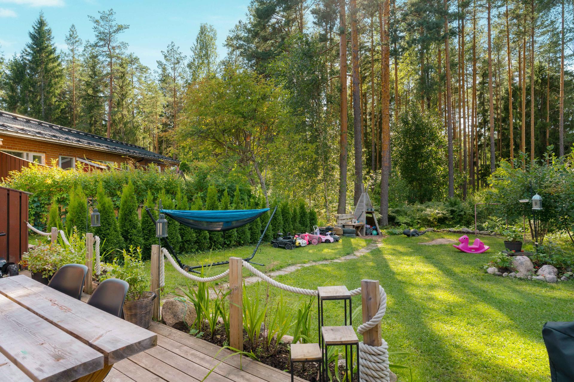 Tuija-aita istutettu yhdessä naapurin kanssa muutama vuosi sitten.