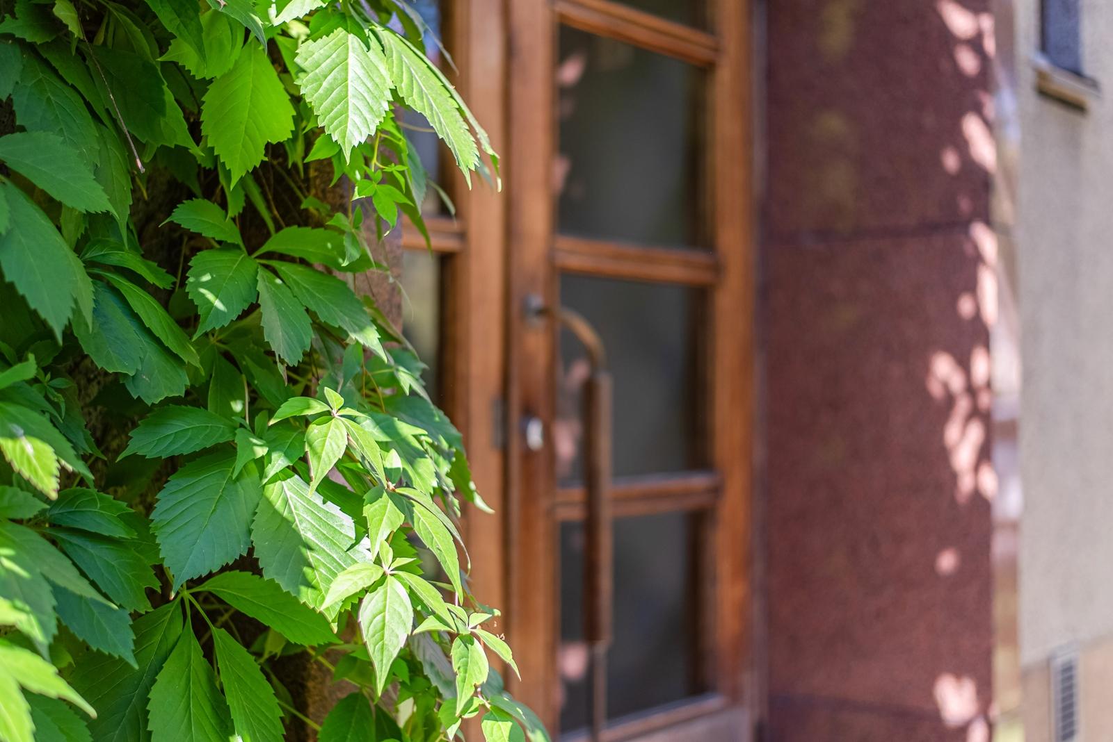 Jalavatie 4, Meilahti, Helsinki