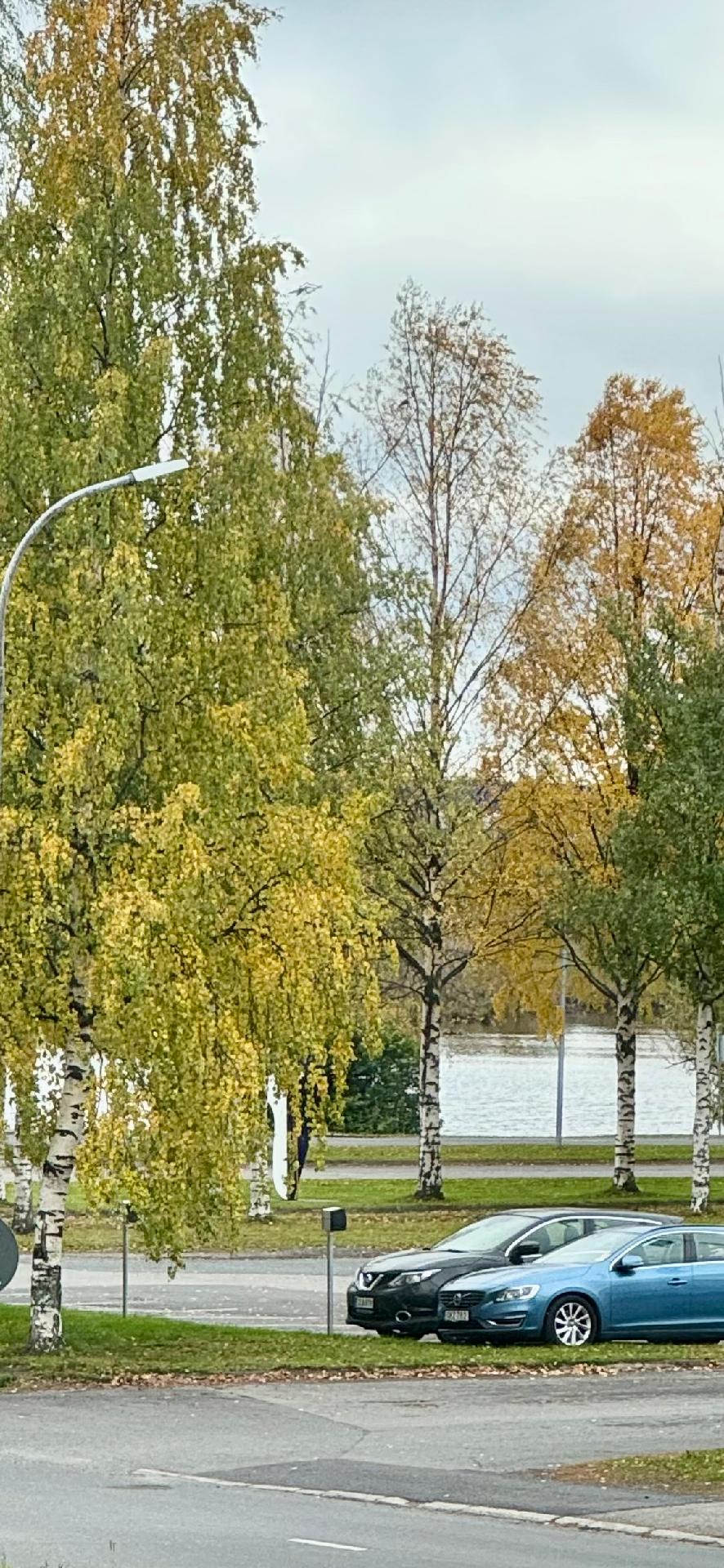 Kurkistus kaupunginlahdelle