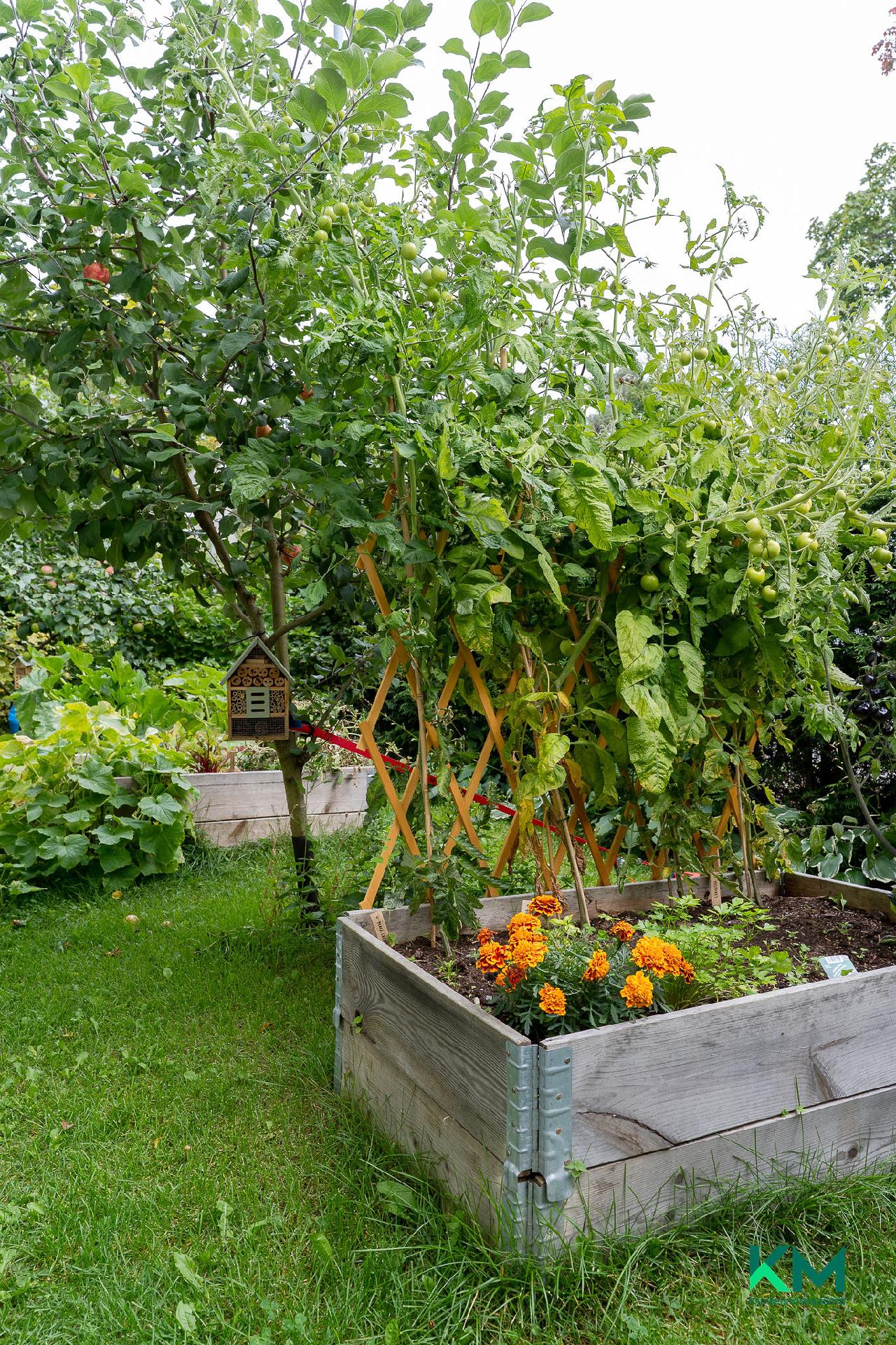 Karhunkatu 30, Kissanmaa, Tampere