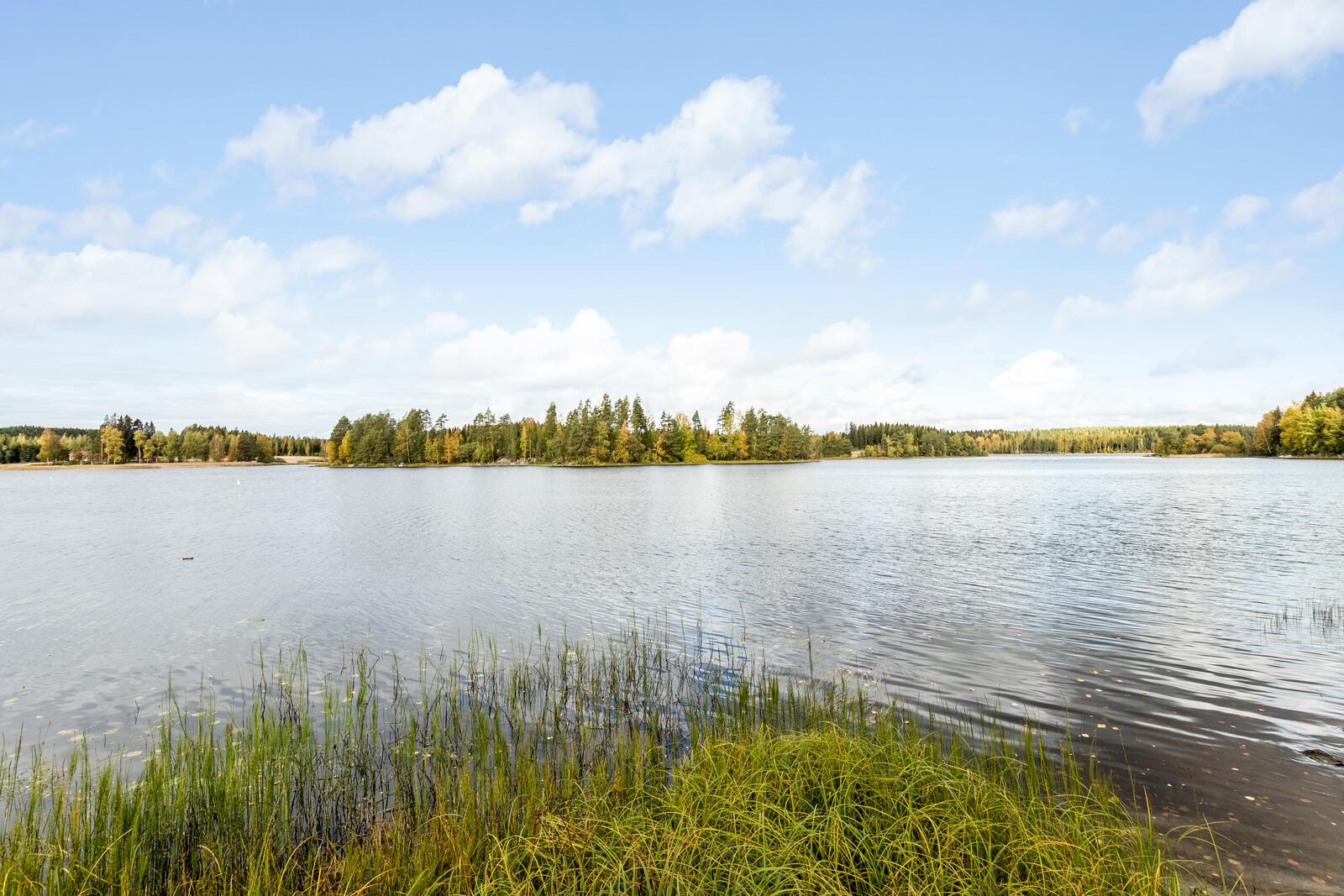 Maisema järvelle