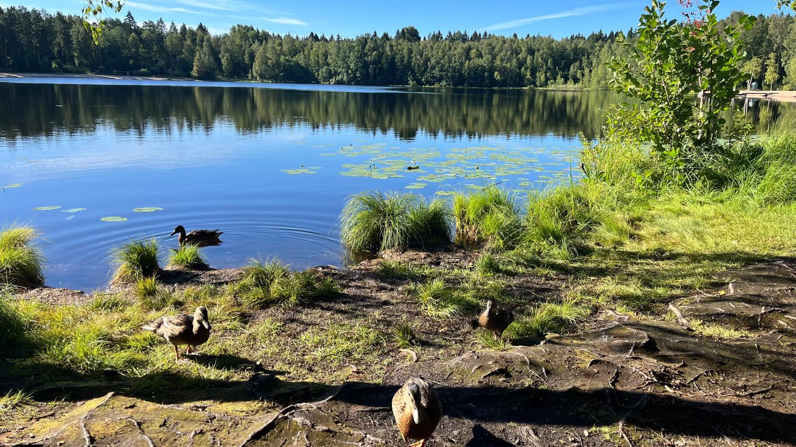 Tesomajärvenkatu 22, Tesoma, Tampere