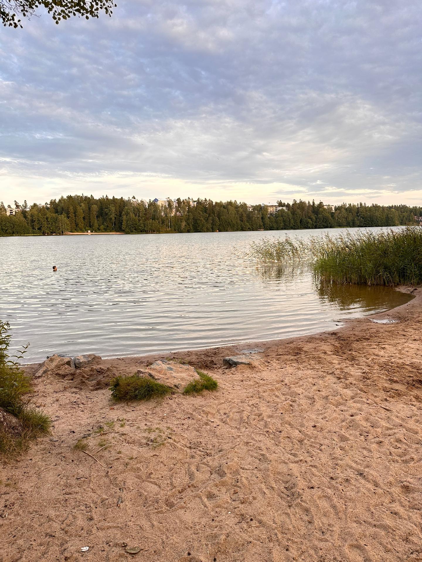 Lippajärven uimaranta on 100 m etäisyydellä