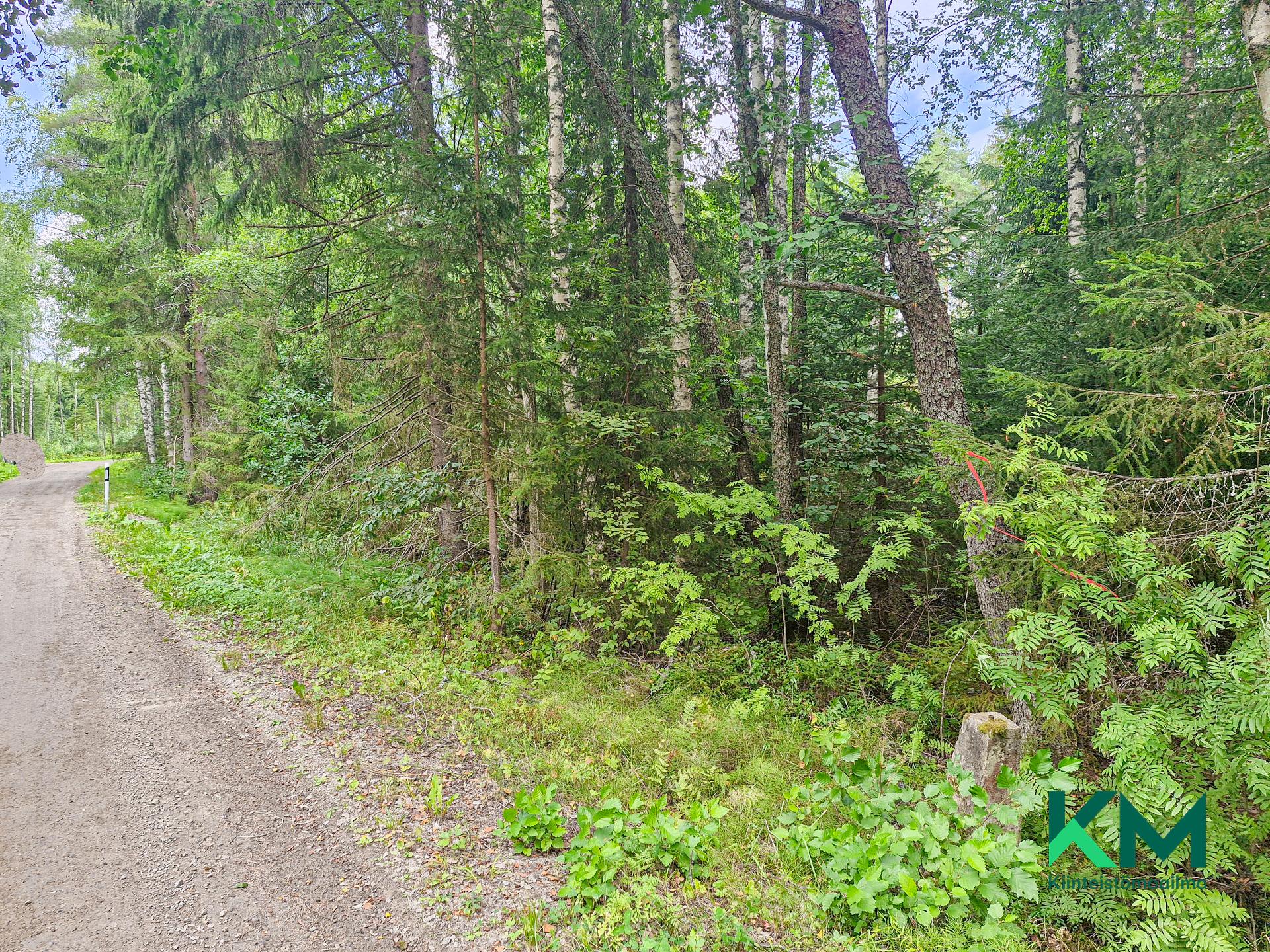 Linnosaarentie 22, Savonranta, Savonlinna