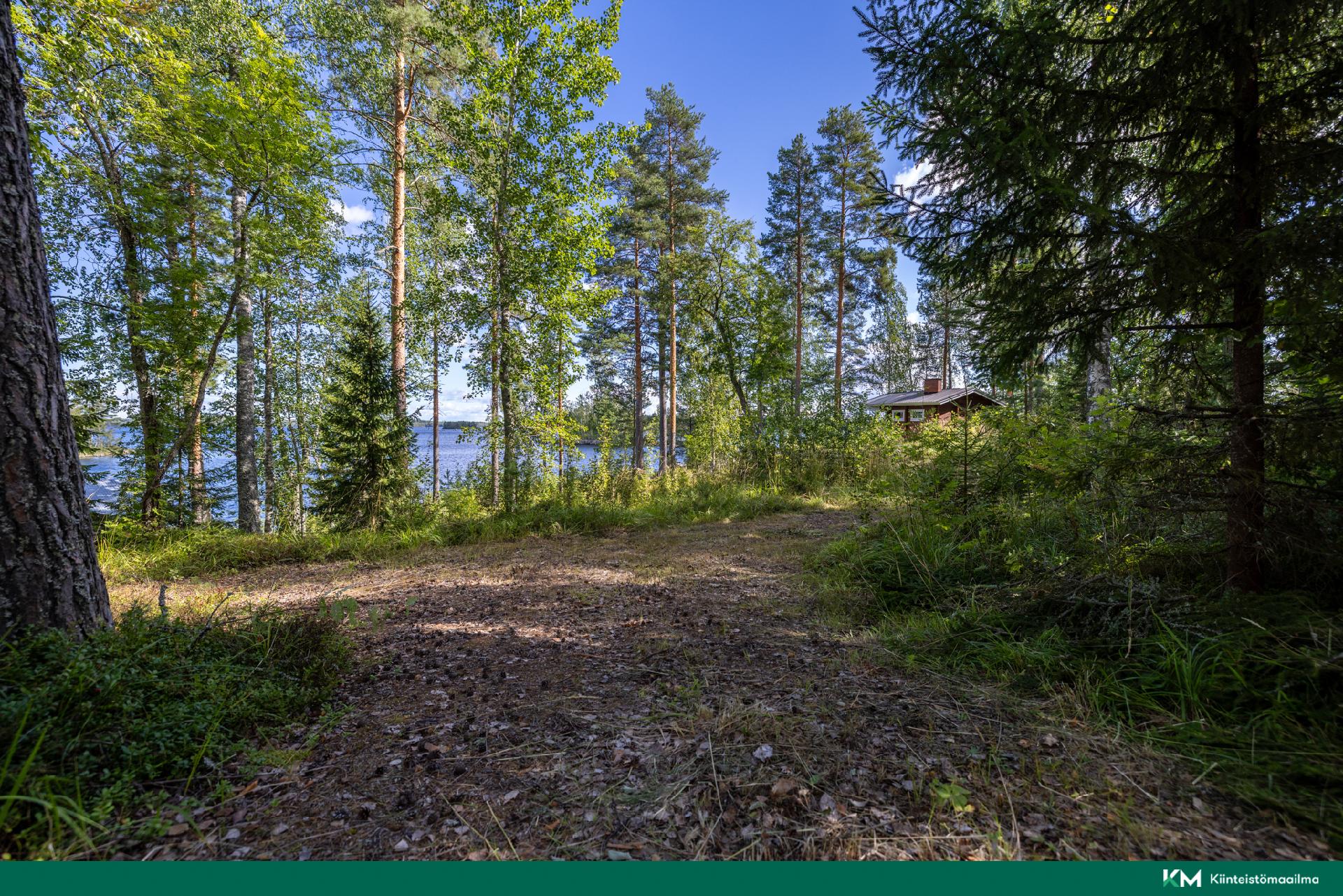 Elniementie 60, Hirvensalmi