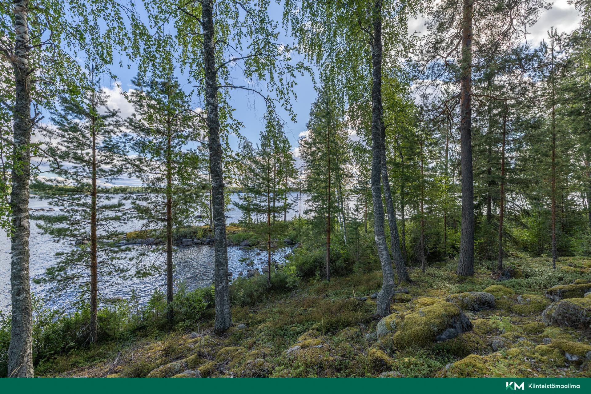 Elniementie 60, Hirvensalmi