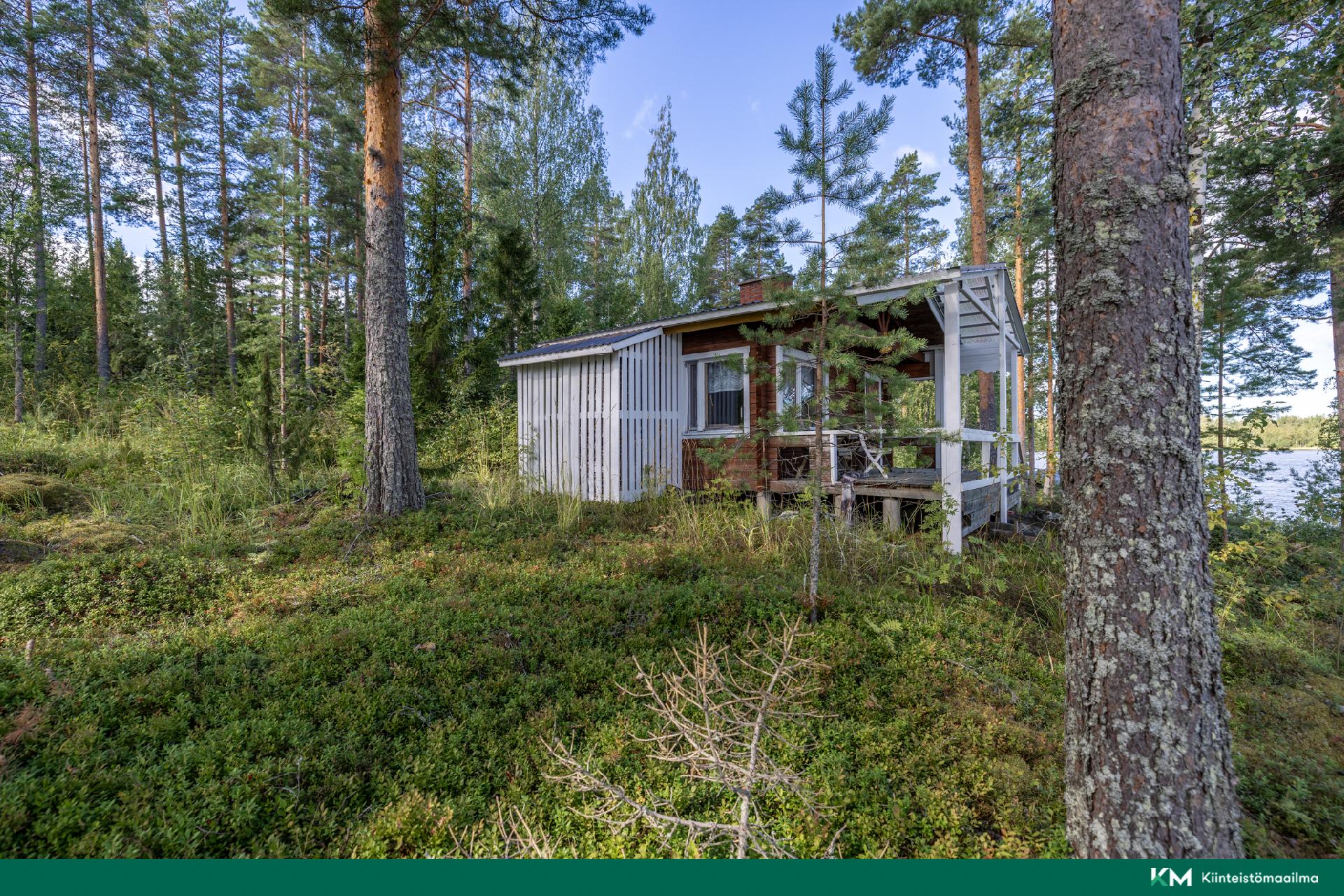 Elniementie 60, Hirvensalmi