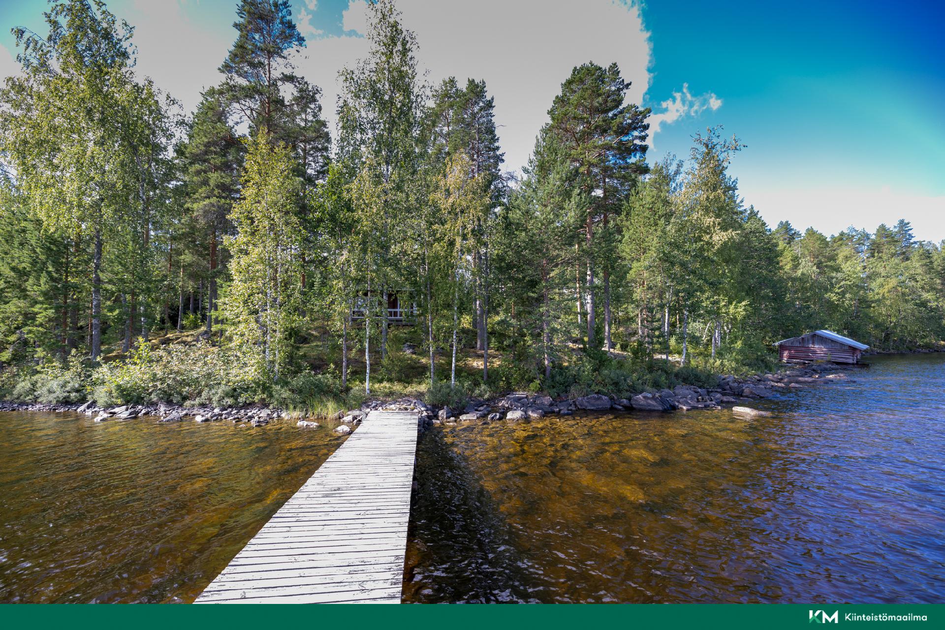 Elniementie 60, Hirvensalmi