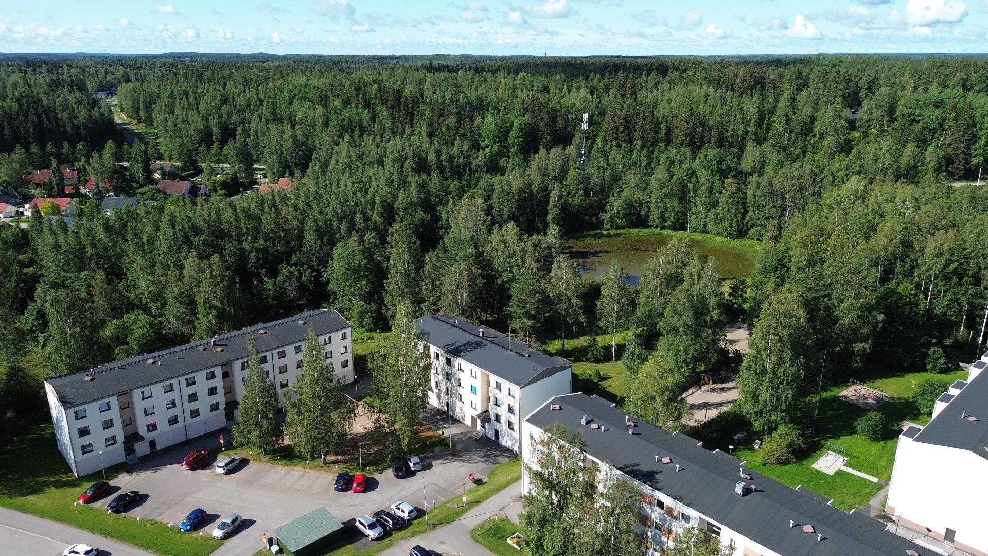 Hedelmätarhantie 17, Salpakangas, Hollola