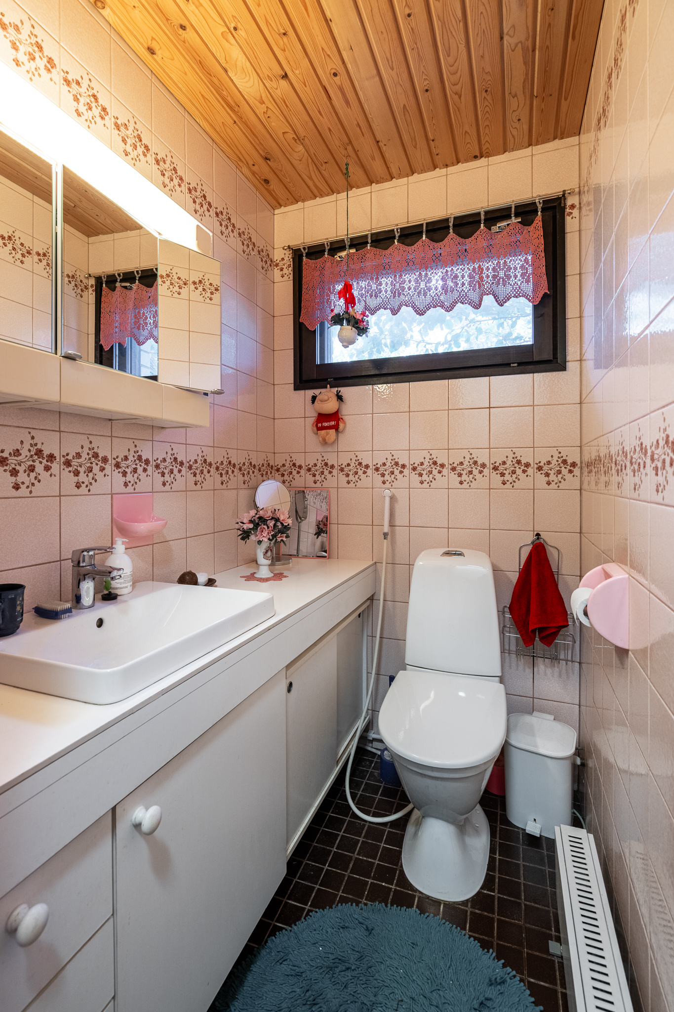 Erillinen wc