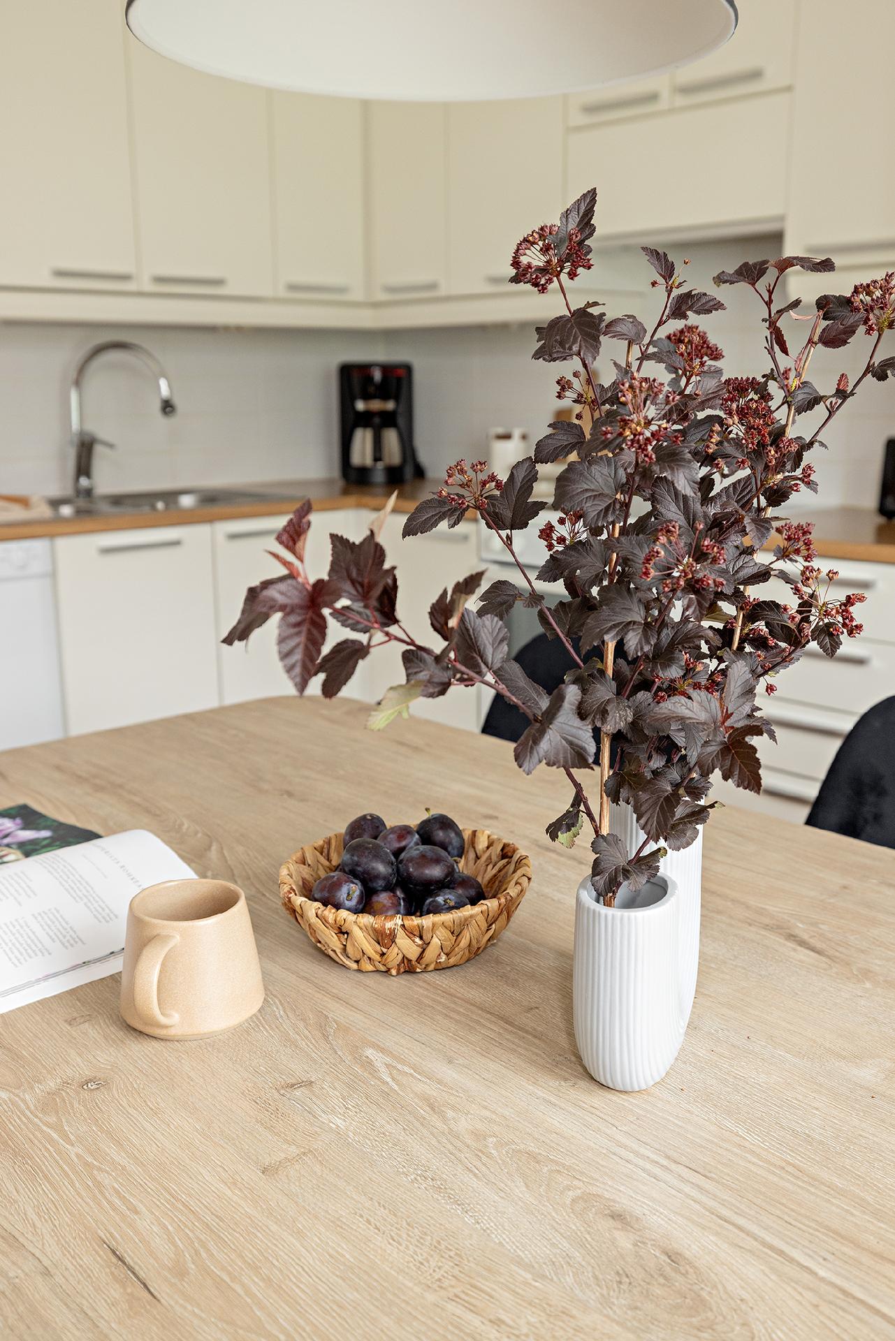 Savottatie 51, Metsokangas, Oulu