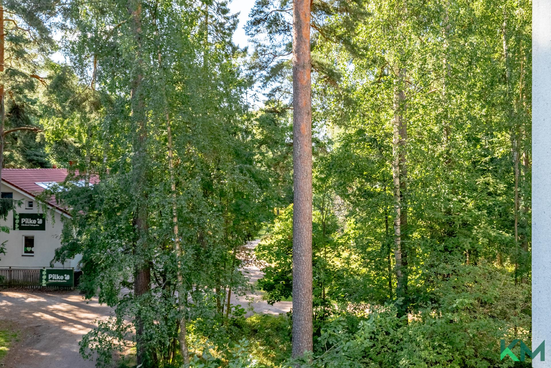 Näkymät olohuoneesta ja parvekkeelta ovat vehreät