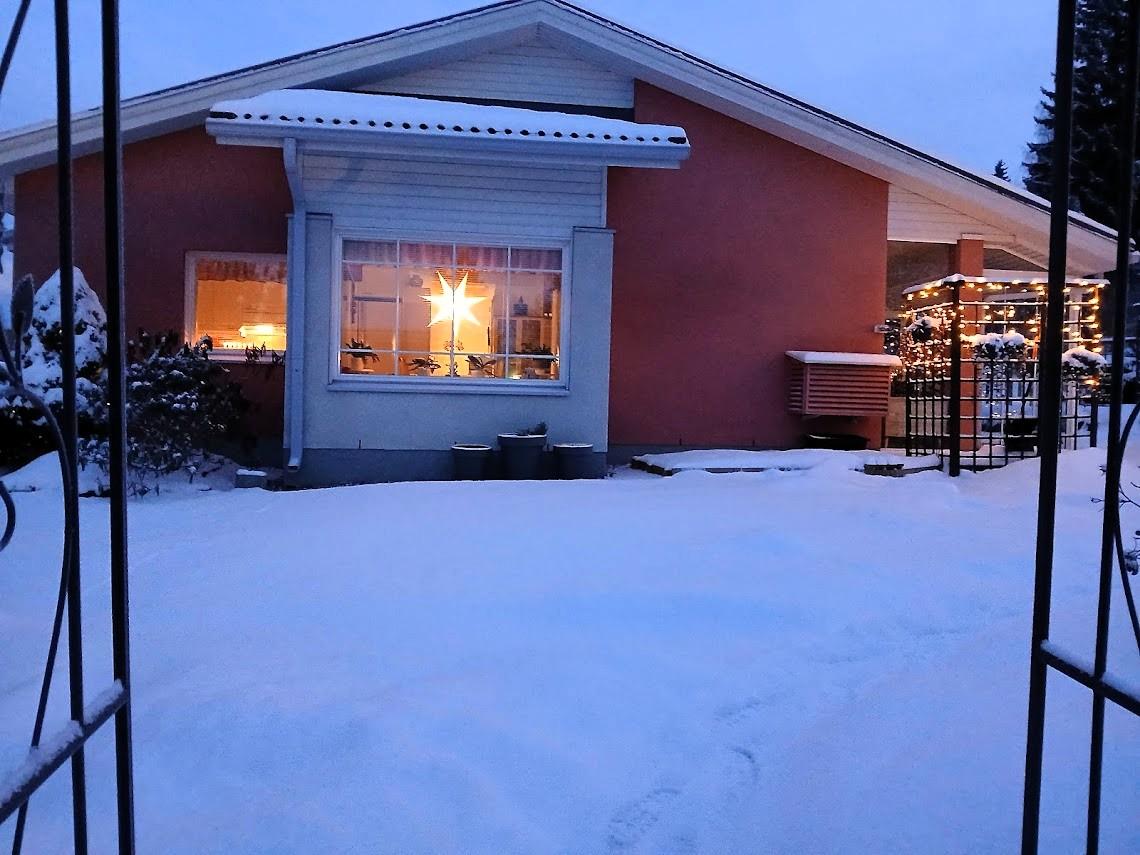 Omistajan ottama joulukuva