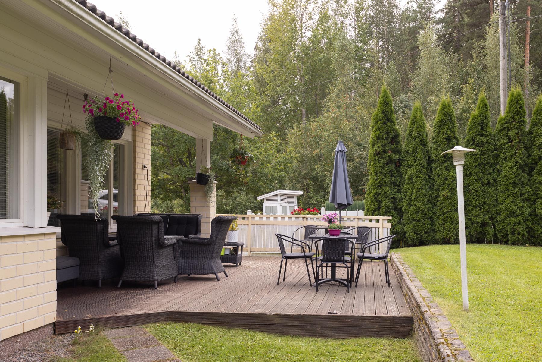 Patiota (vehreään aikaan)