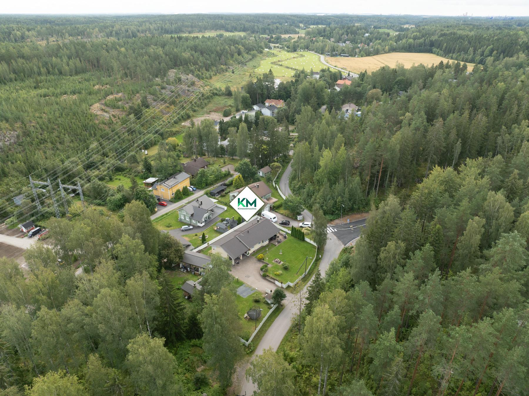 Kiinteistö ja sen ympäristöä ilmasta (vehreään aikaan)