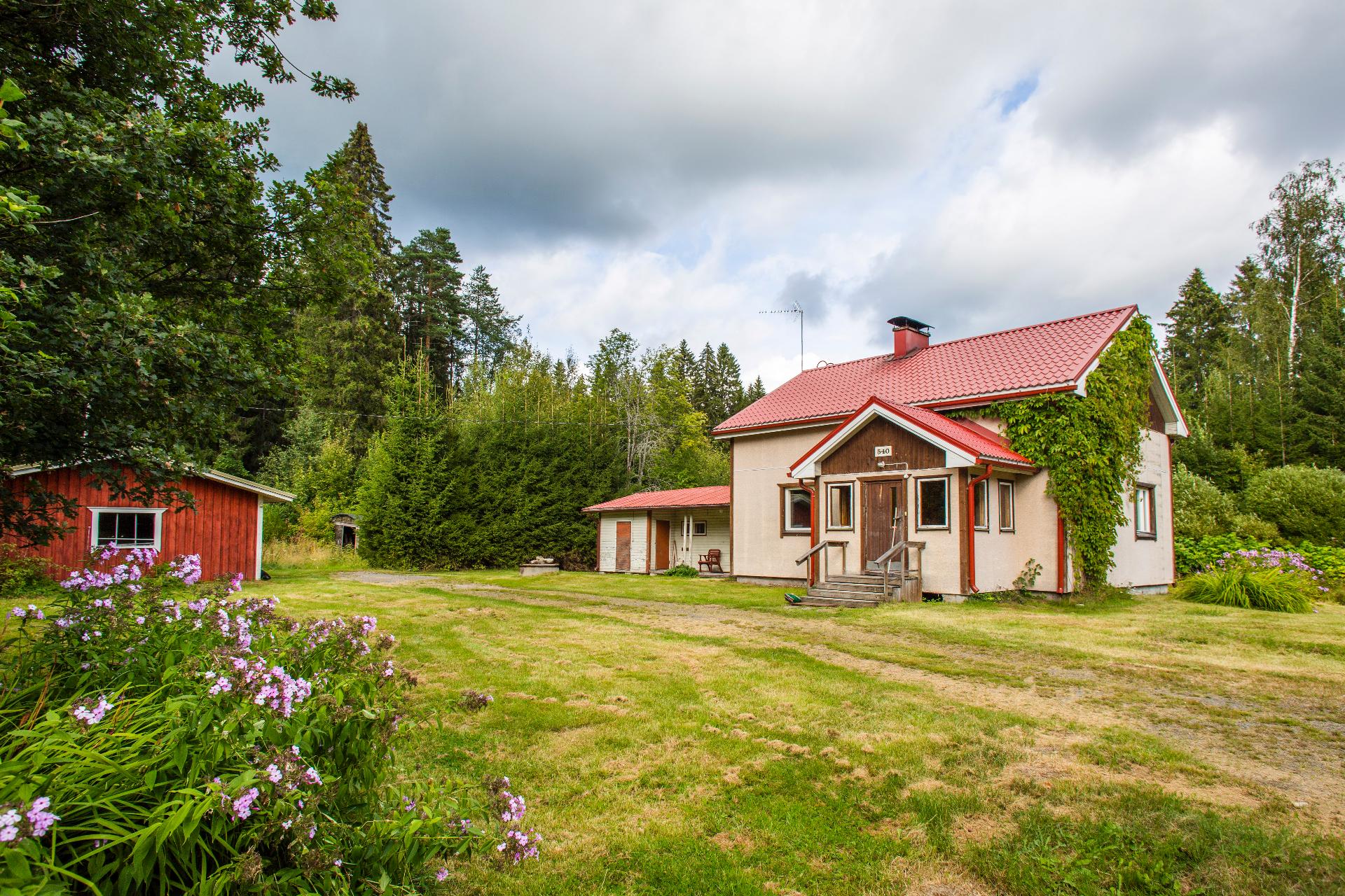 Luusniementie 540, Kangasniemi