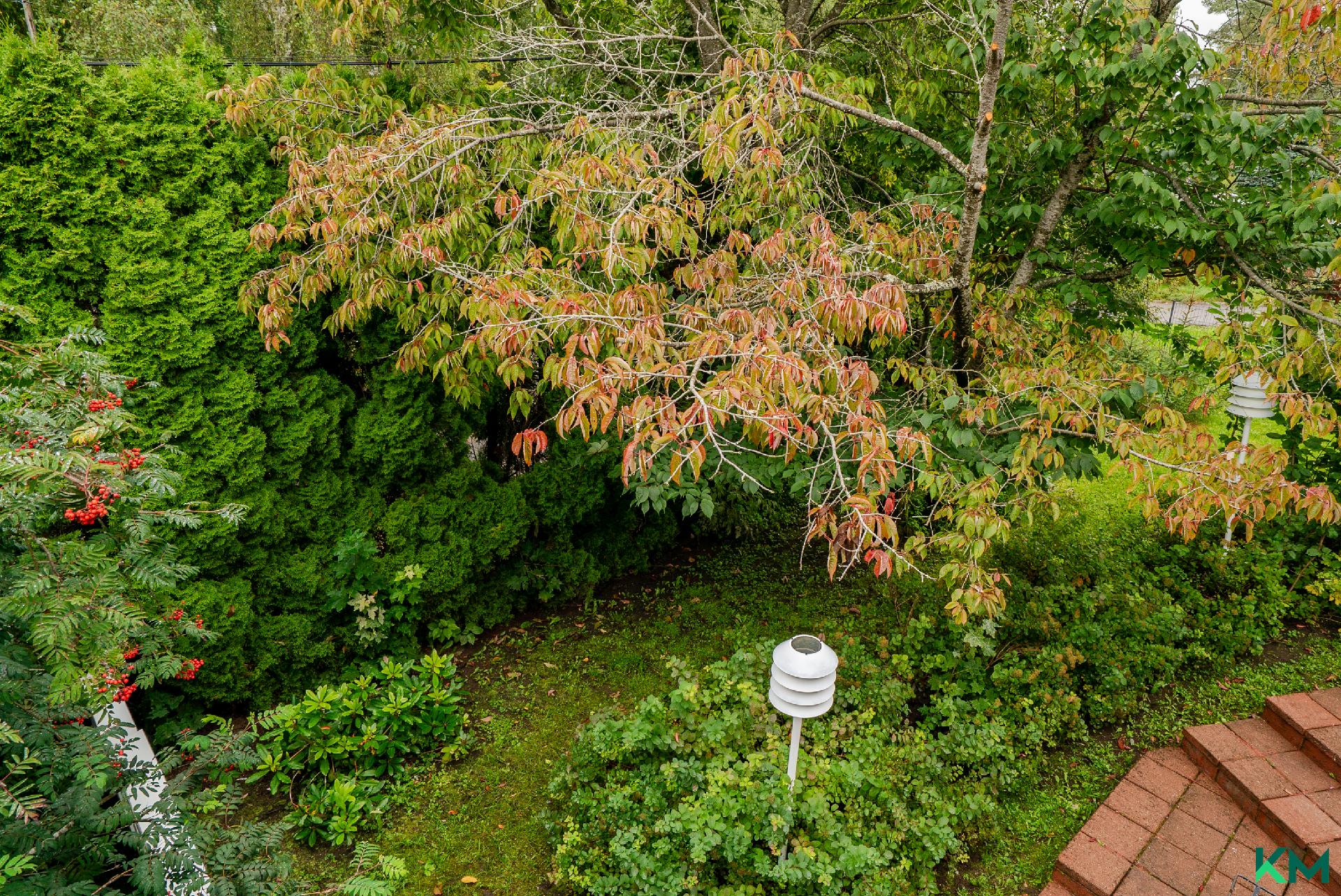 Pitkäjärventie 79, Laaksolahti, Espoo