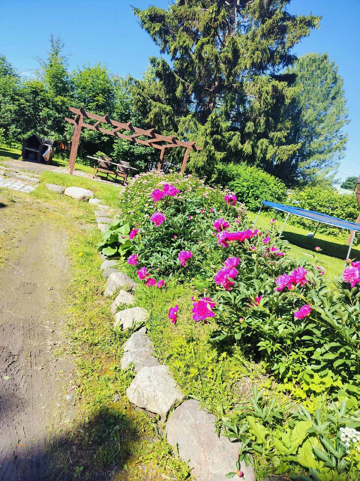 Juvantie 28, Lähemäki, Mikkeli