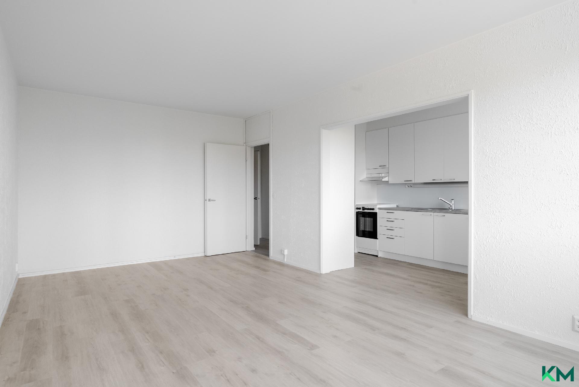 Olohuone ja keittiö