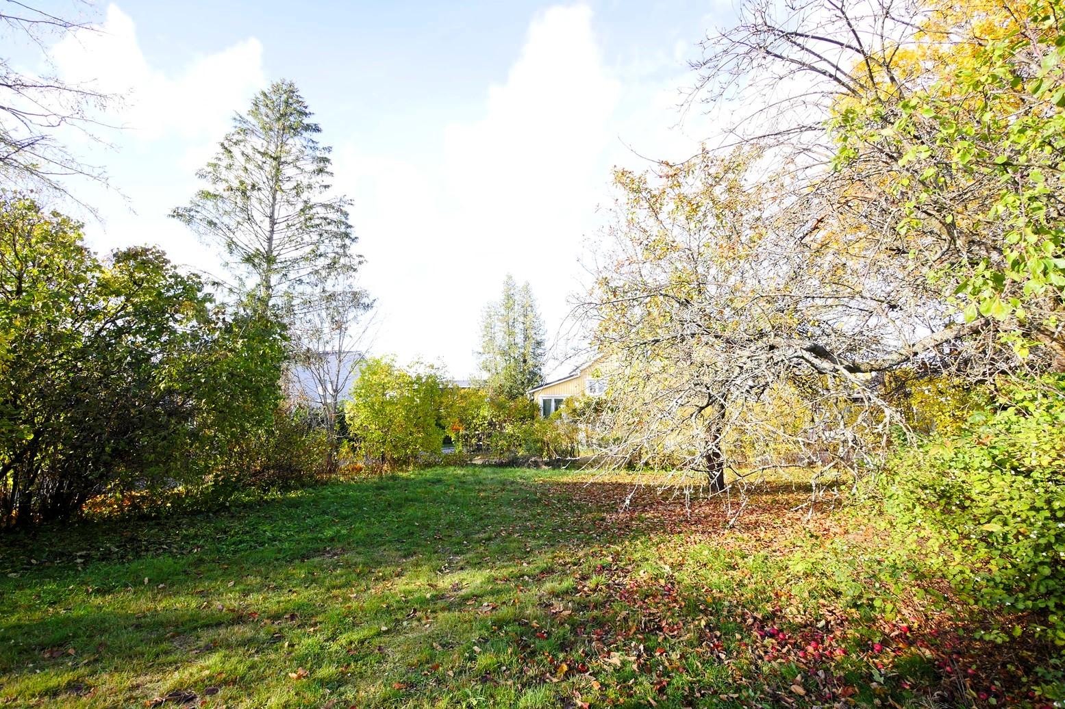 hyvä rakennuspaikka