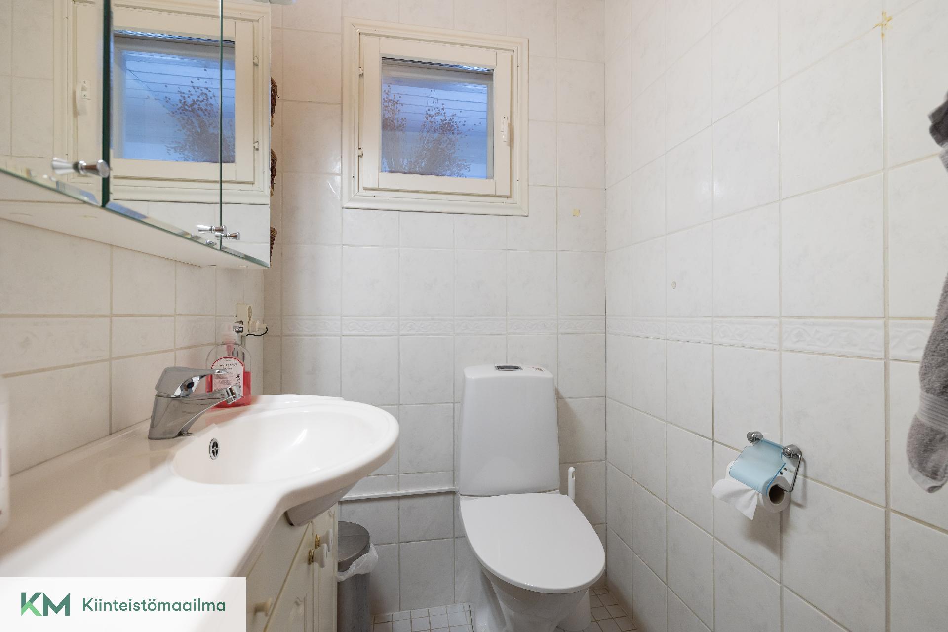 Alakerran erillinen wc.