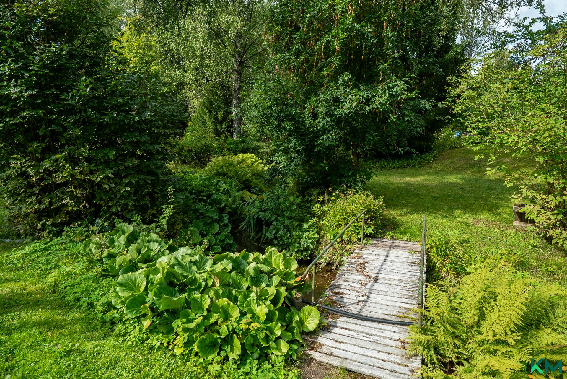 Tontin koiliskulmassa virtaa pieni oja