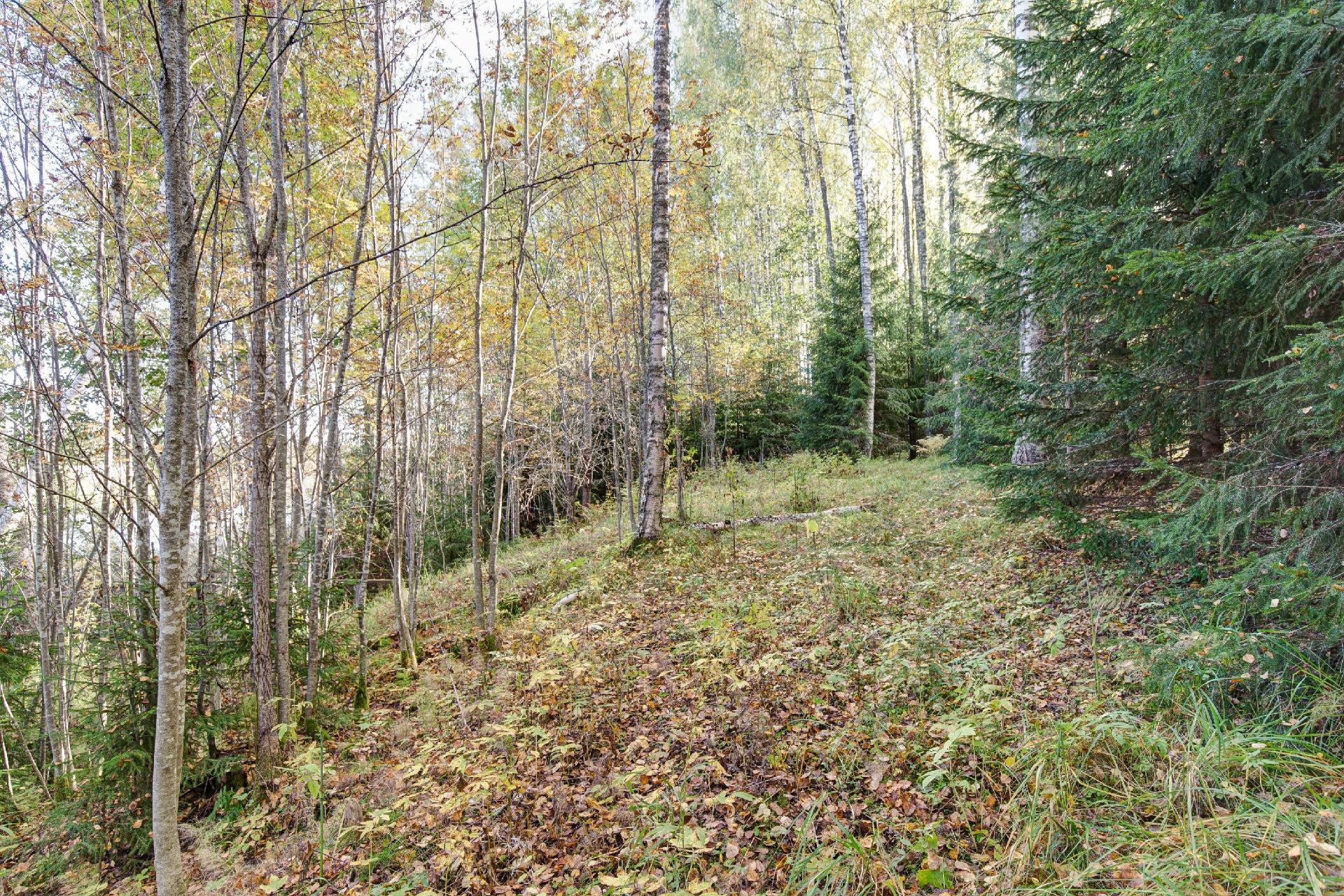 Väärinmajantie 1160, Väärinmaja, Ruovesi